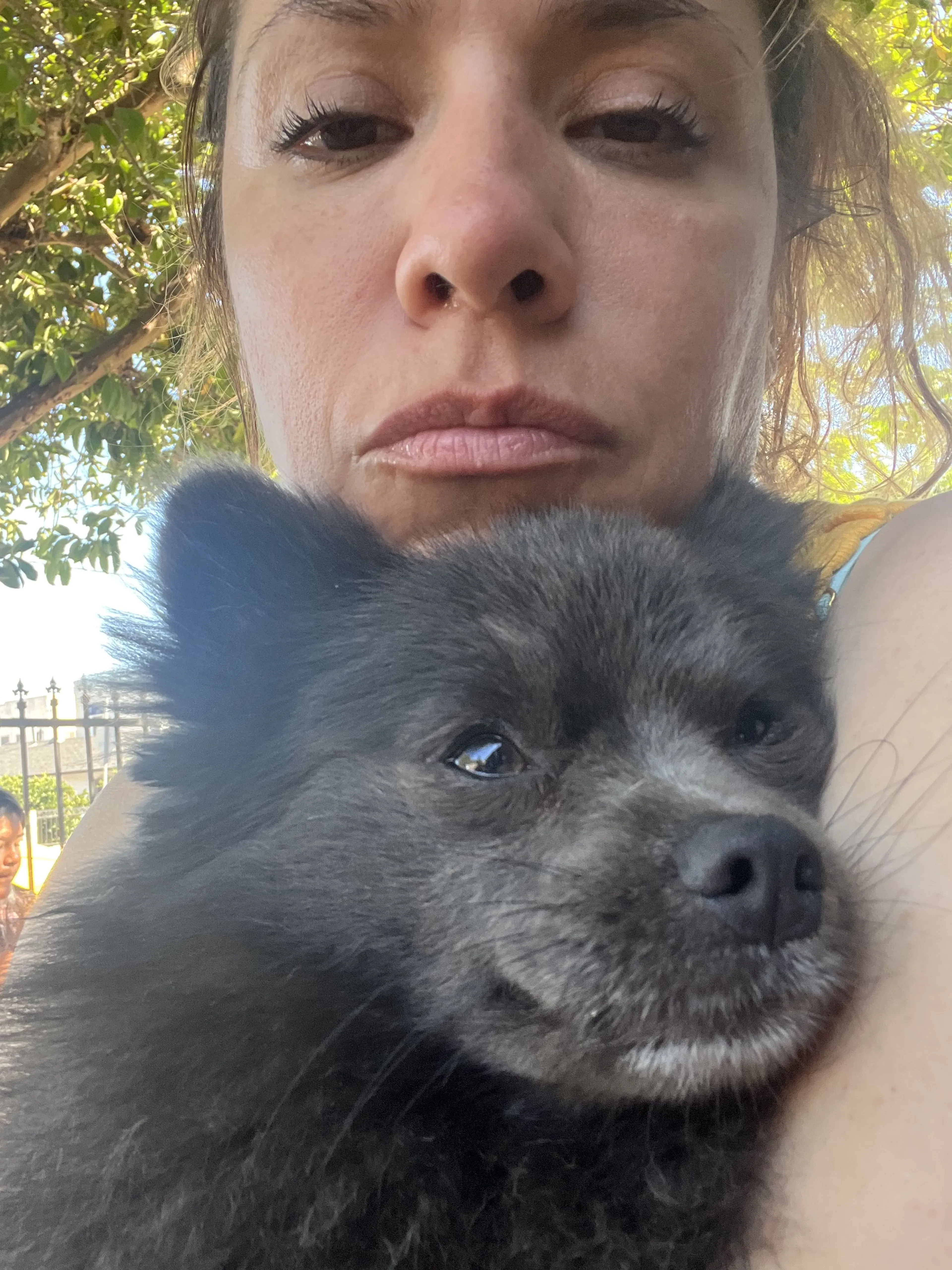 Lost pet-0