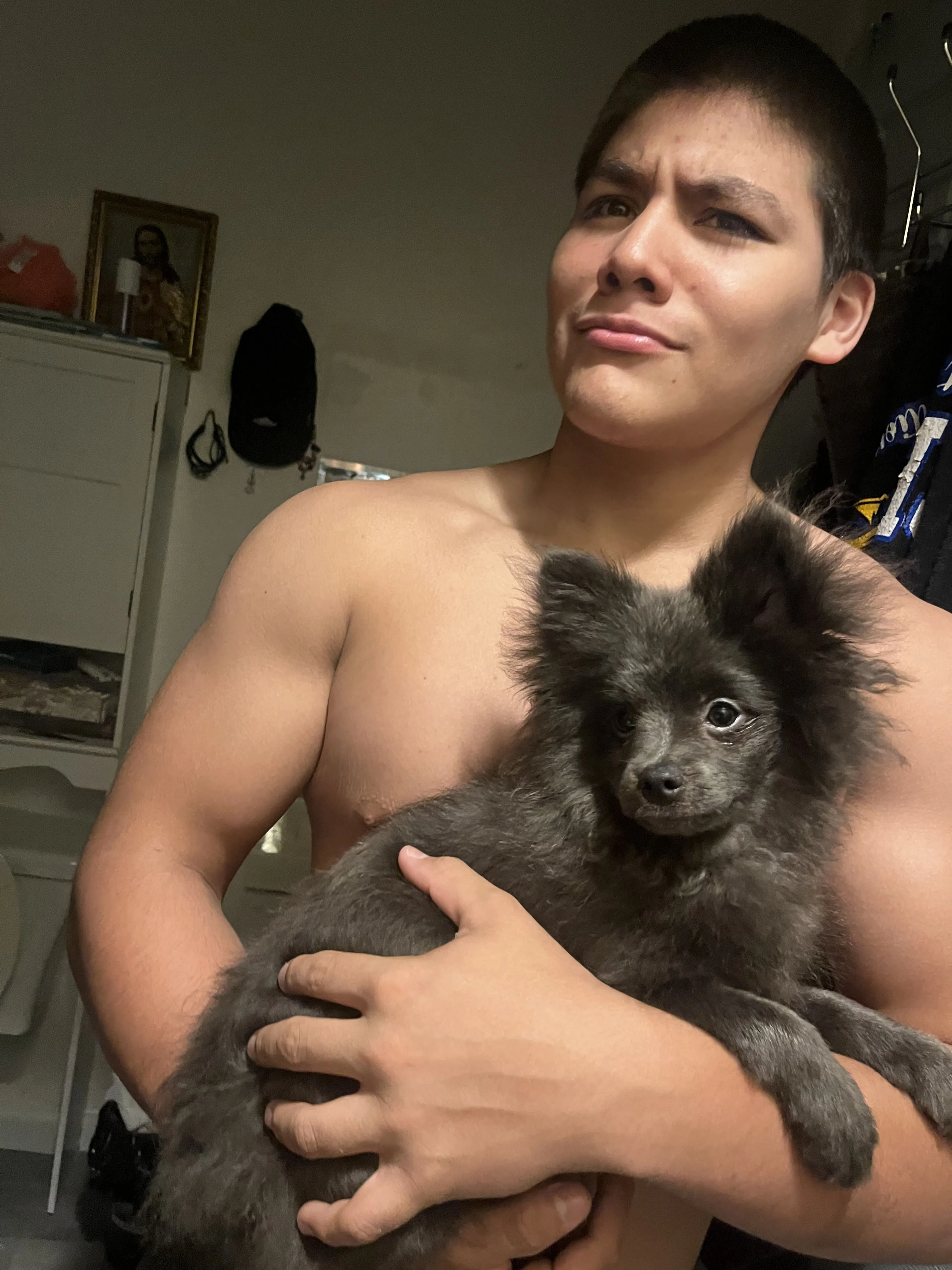 Lost pet-3