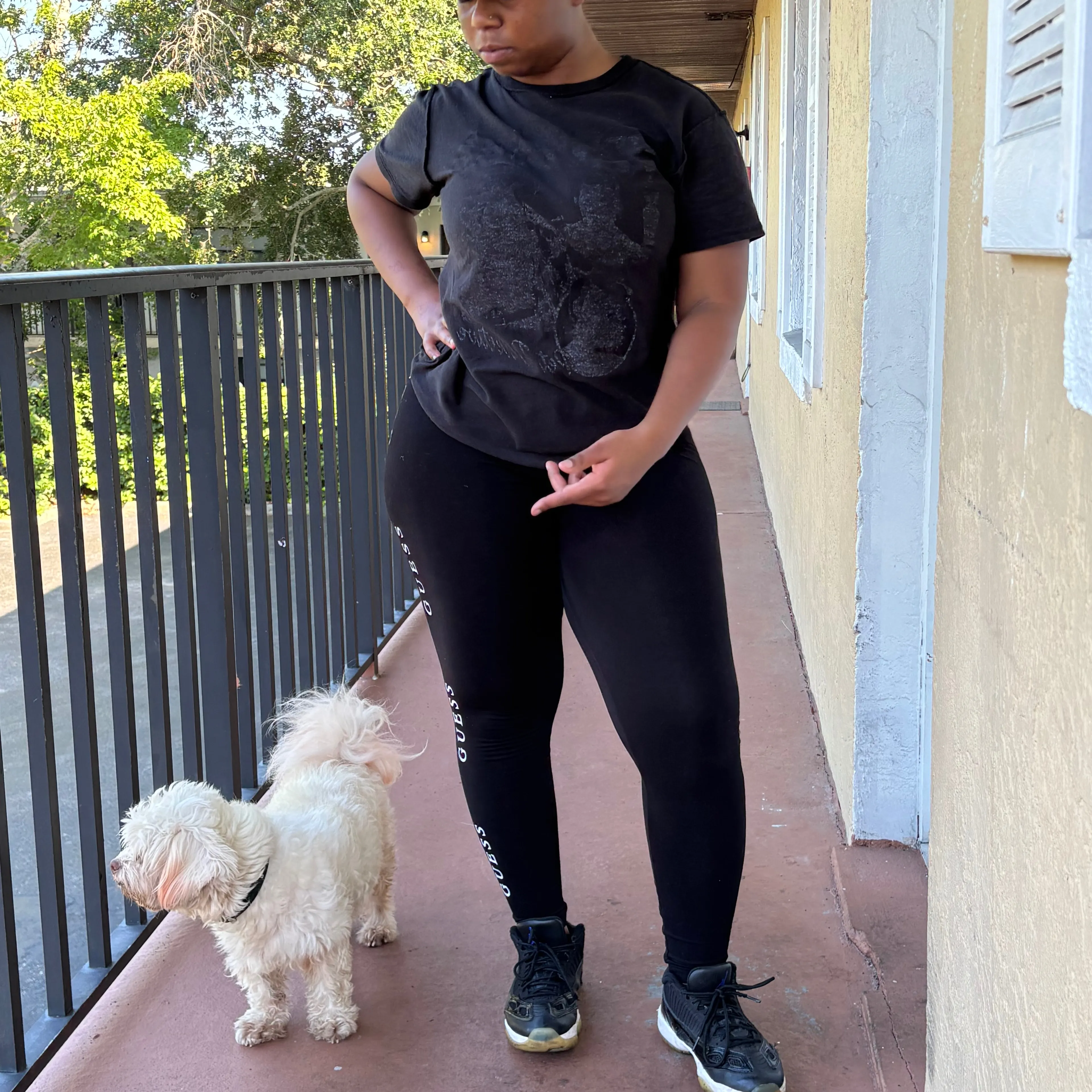 Lost pet-1