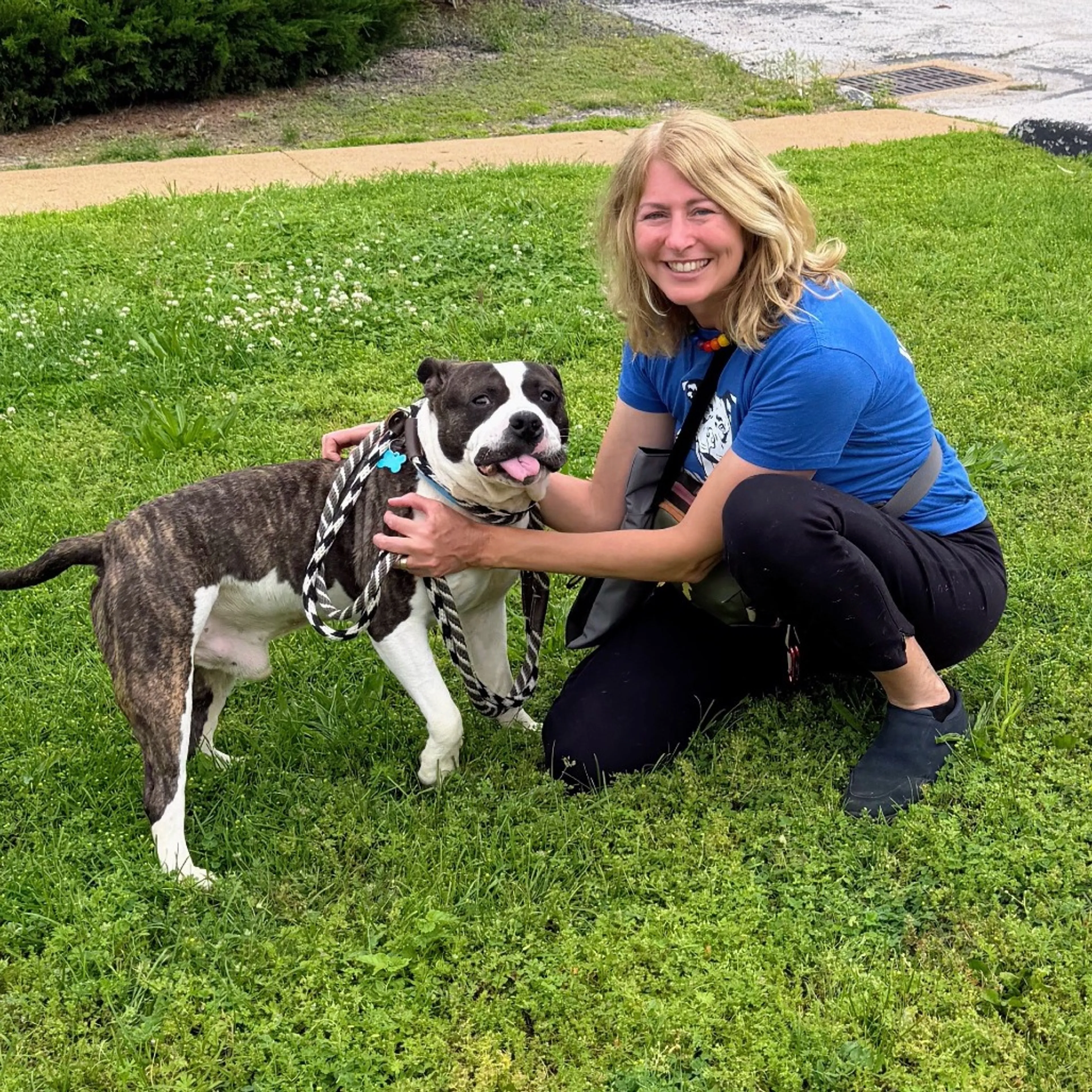 Found pet-8