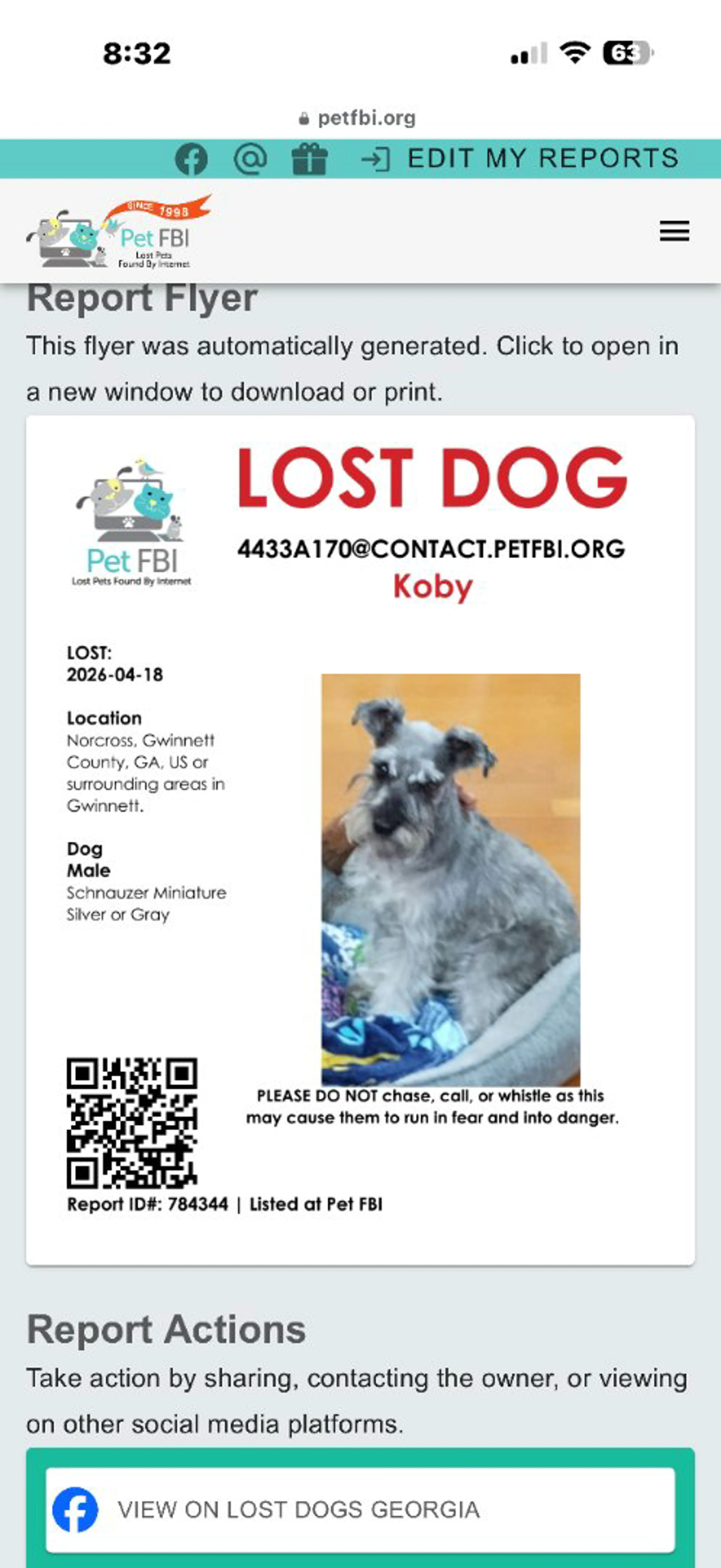 Lost pet-2
