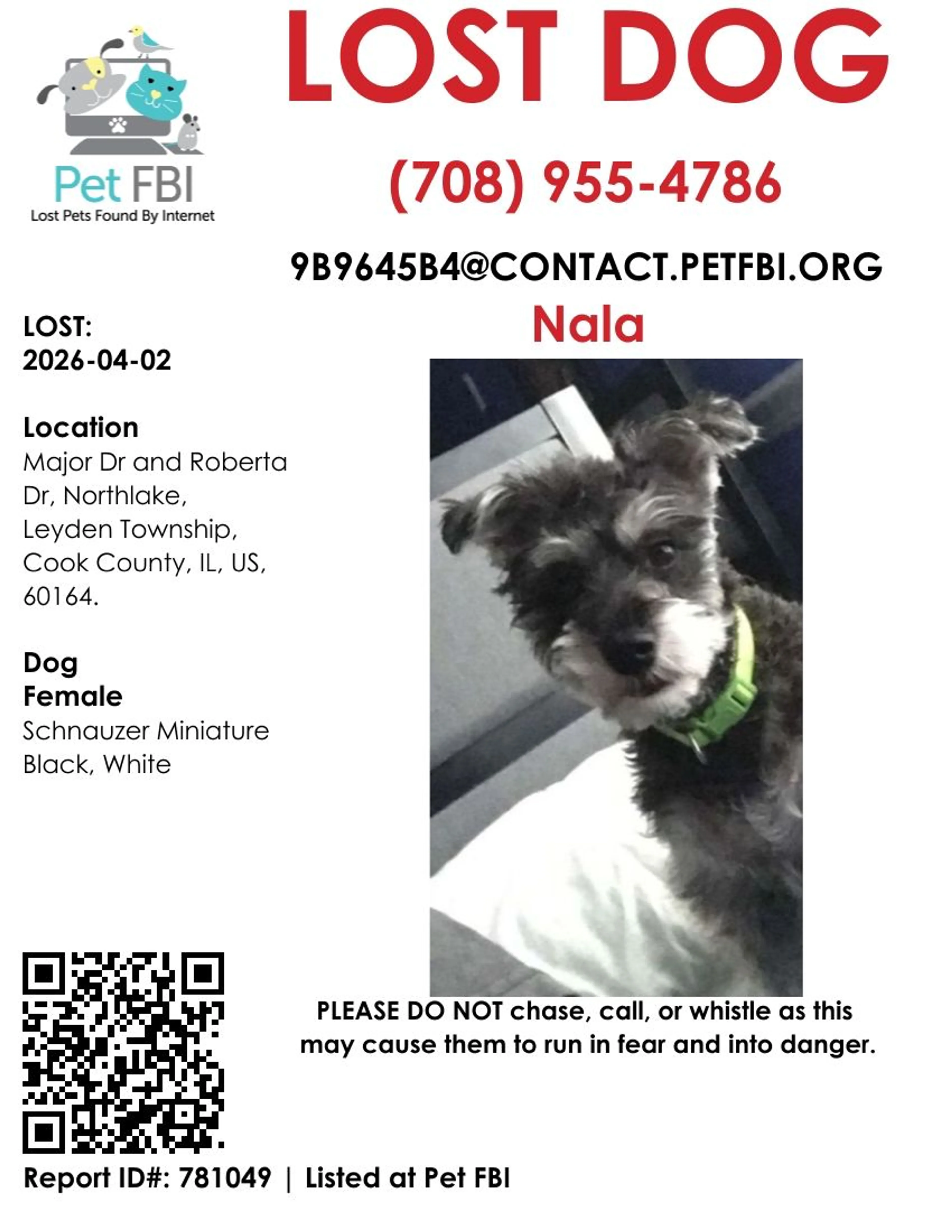 Lost pet