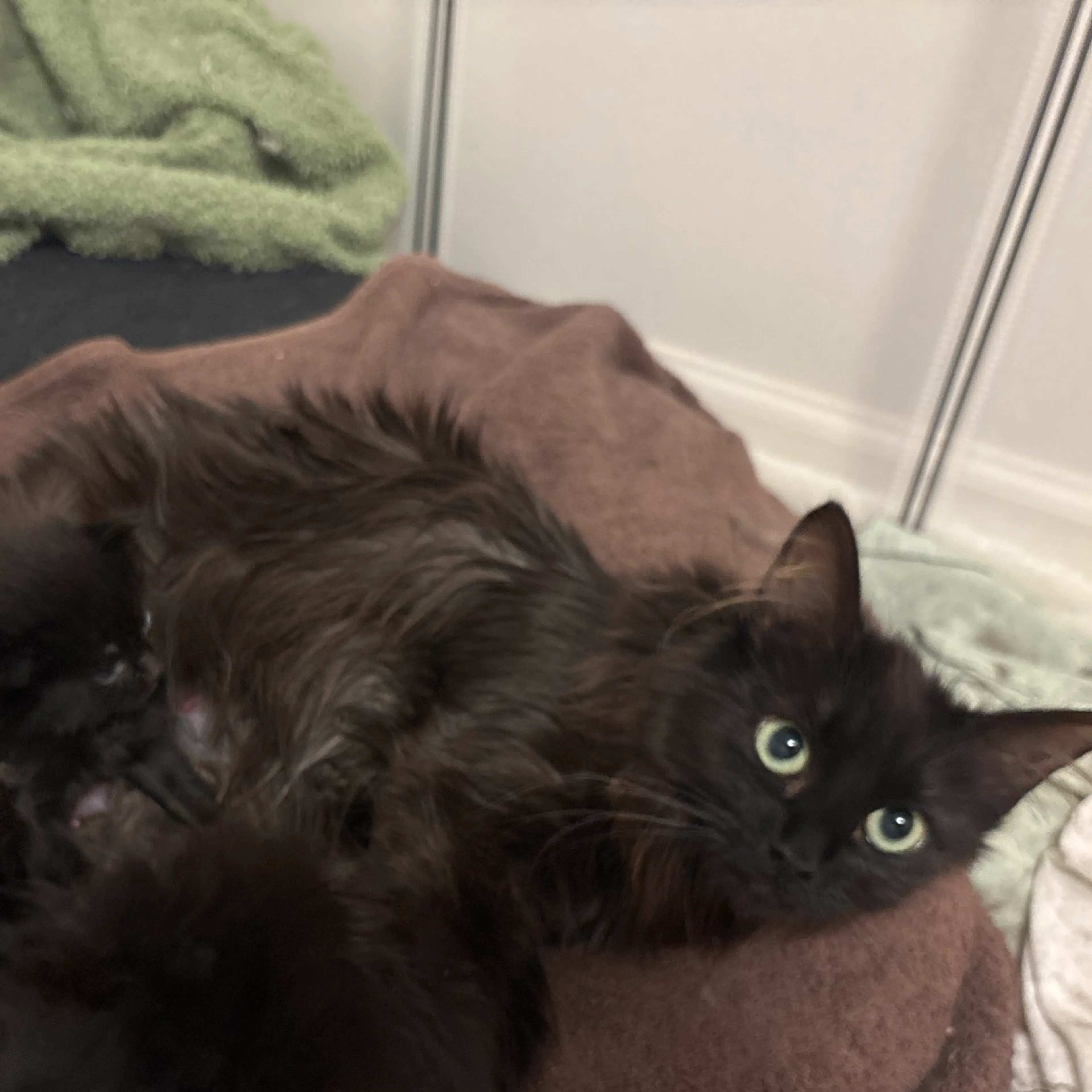 -0