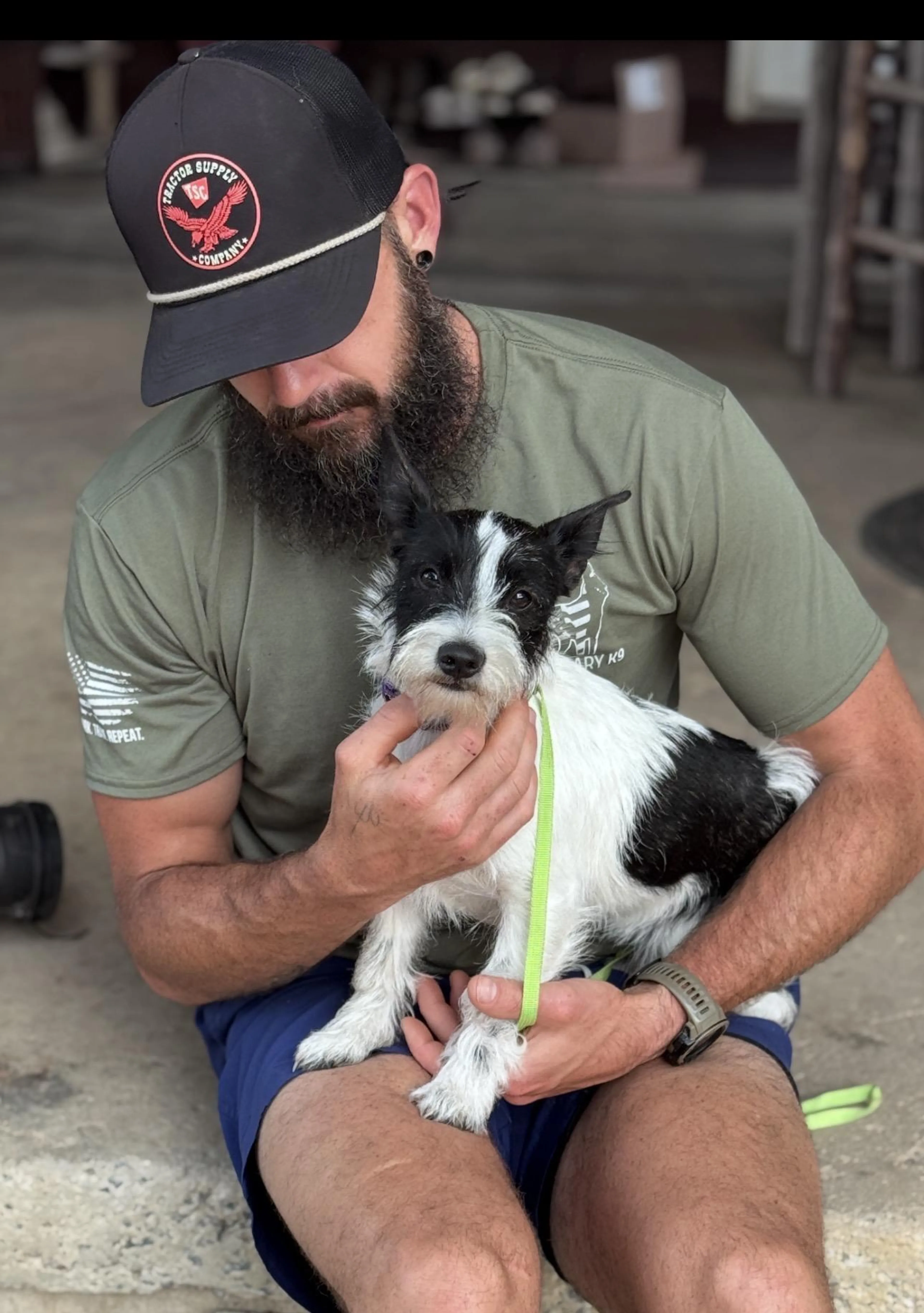 Found pet-4
