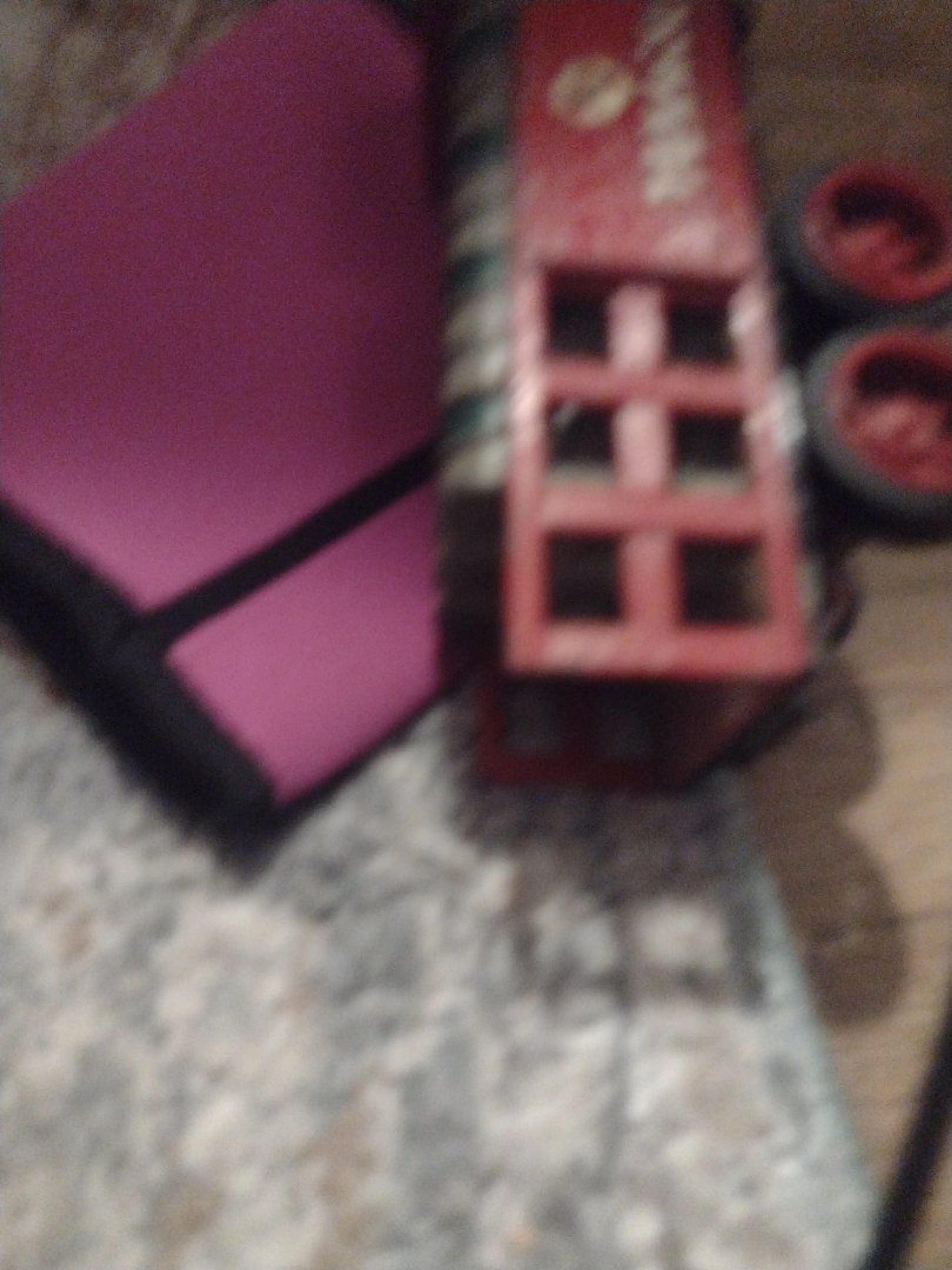 Lost pet-0