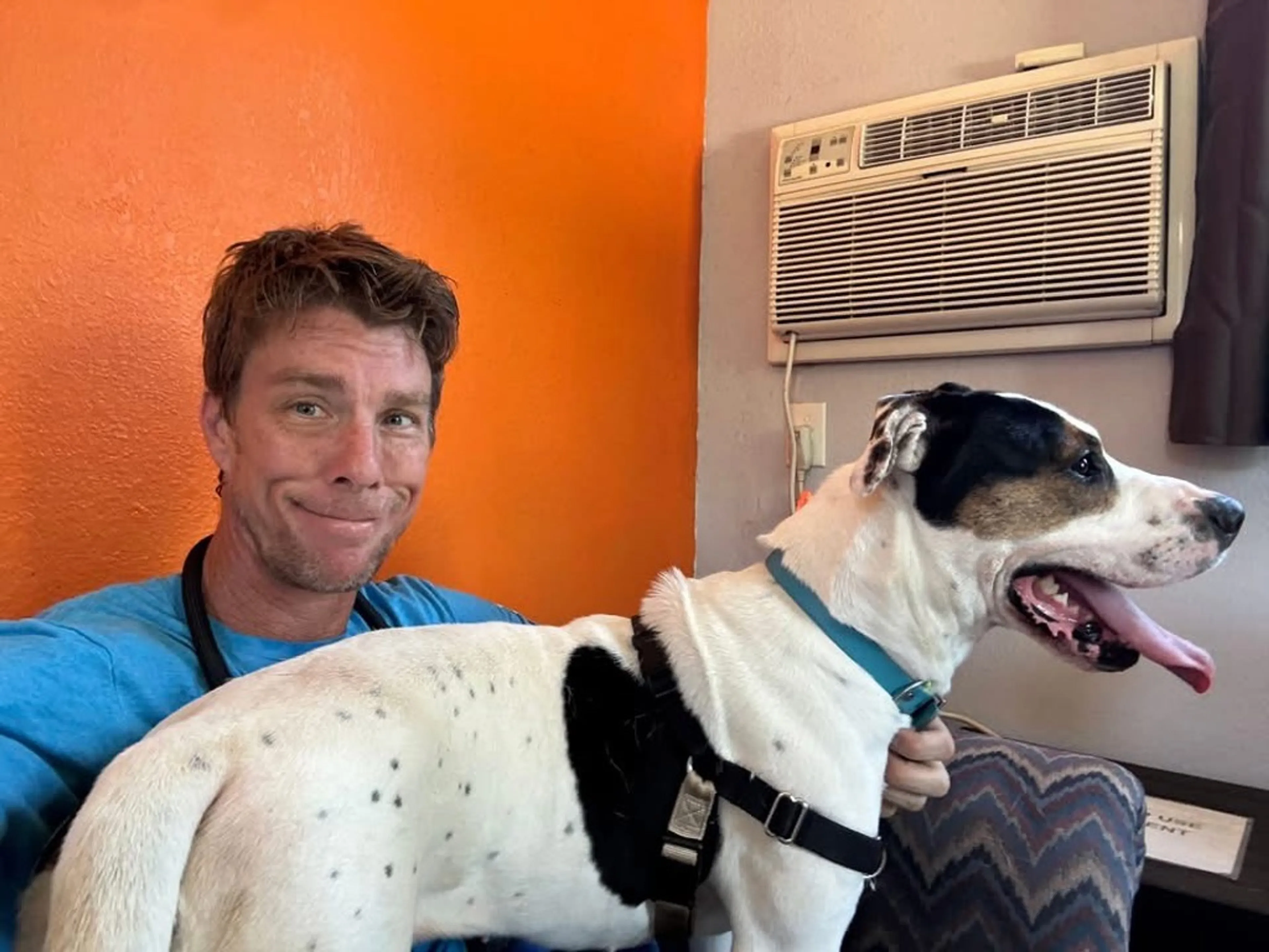 Found pet-1