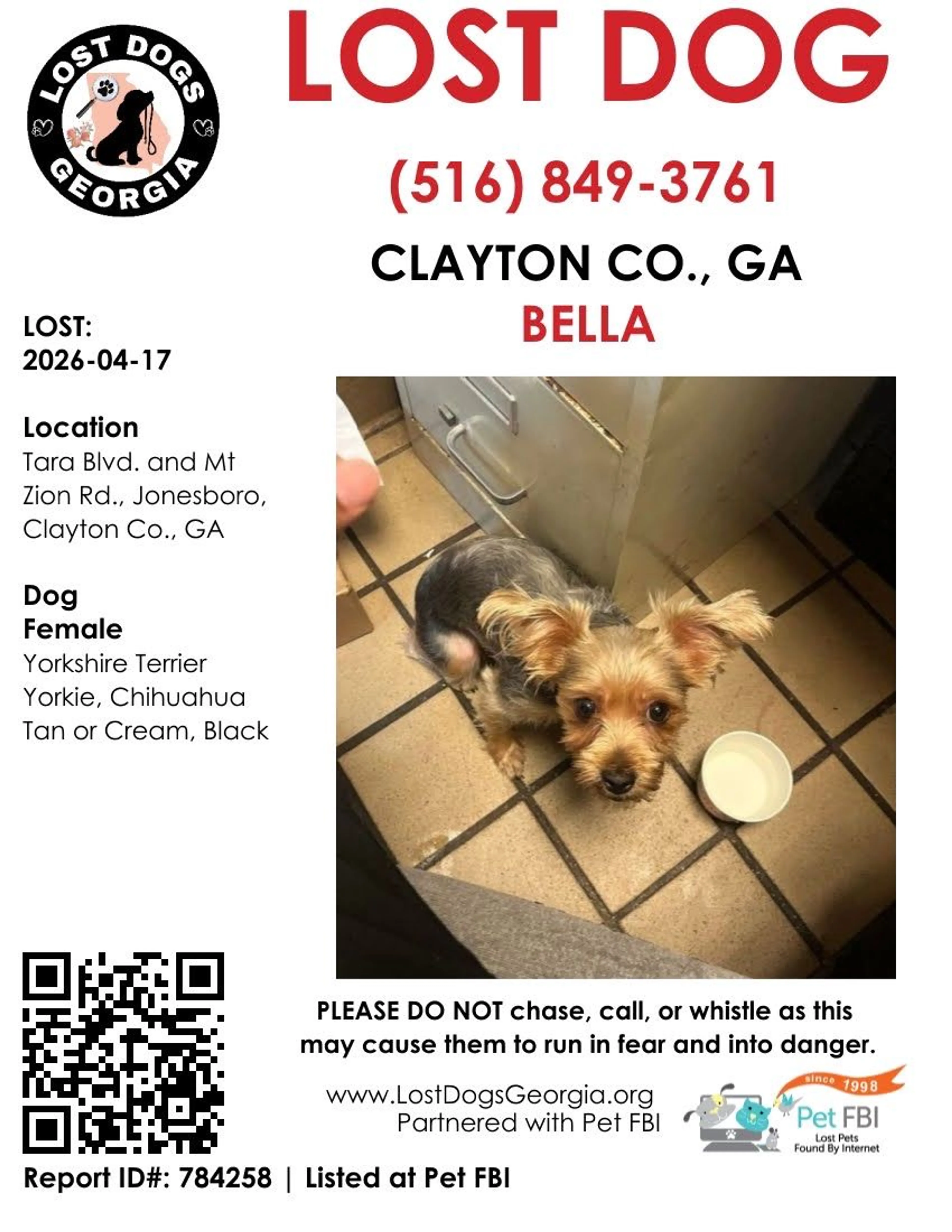 Lost pet