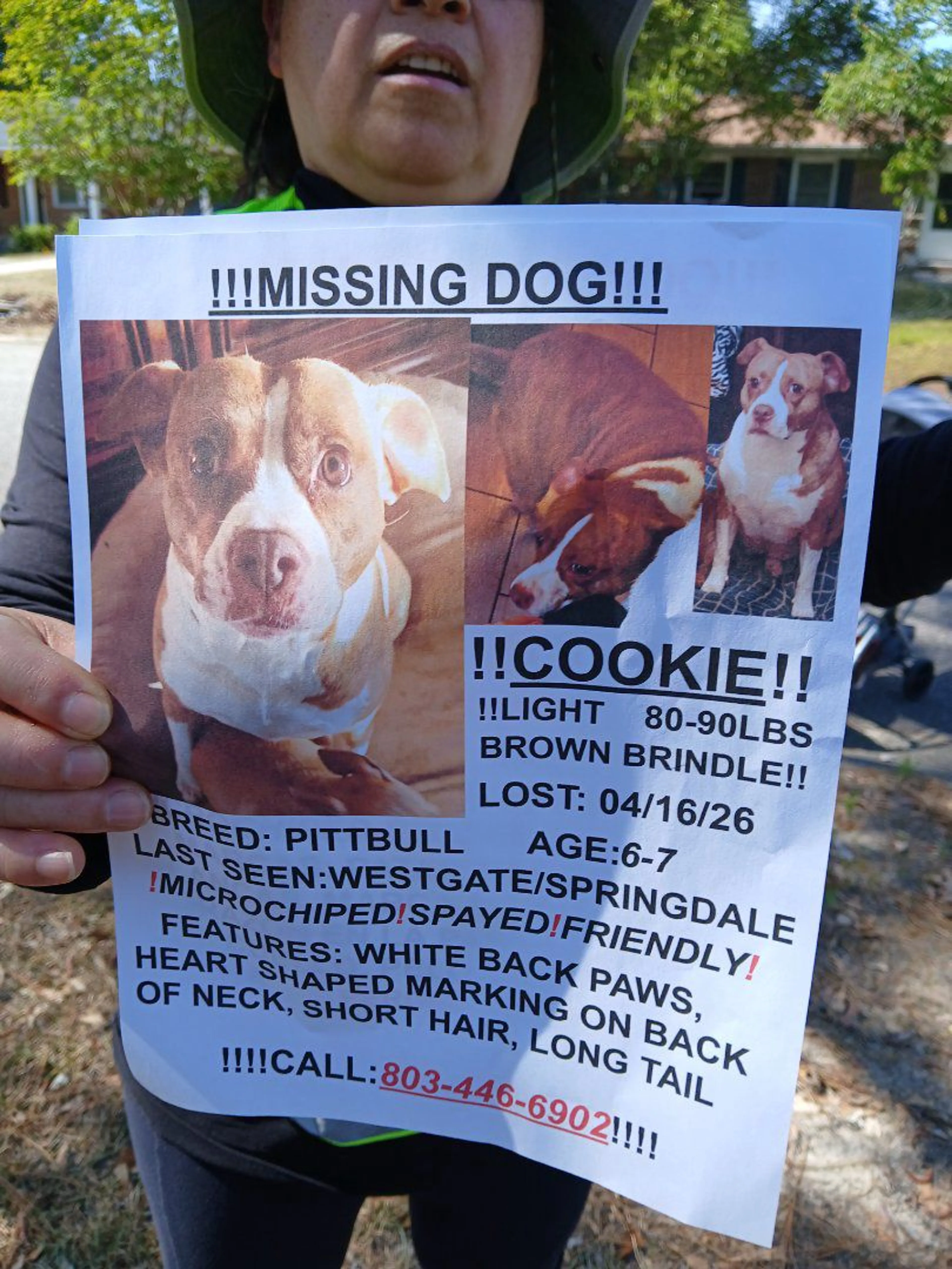 Lost pet