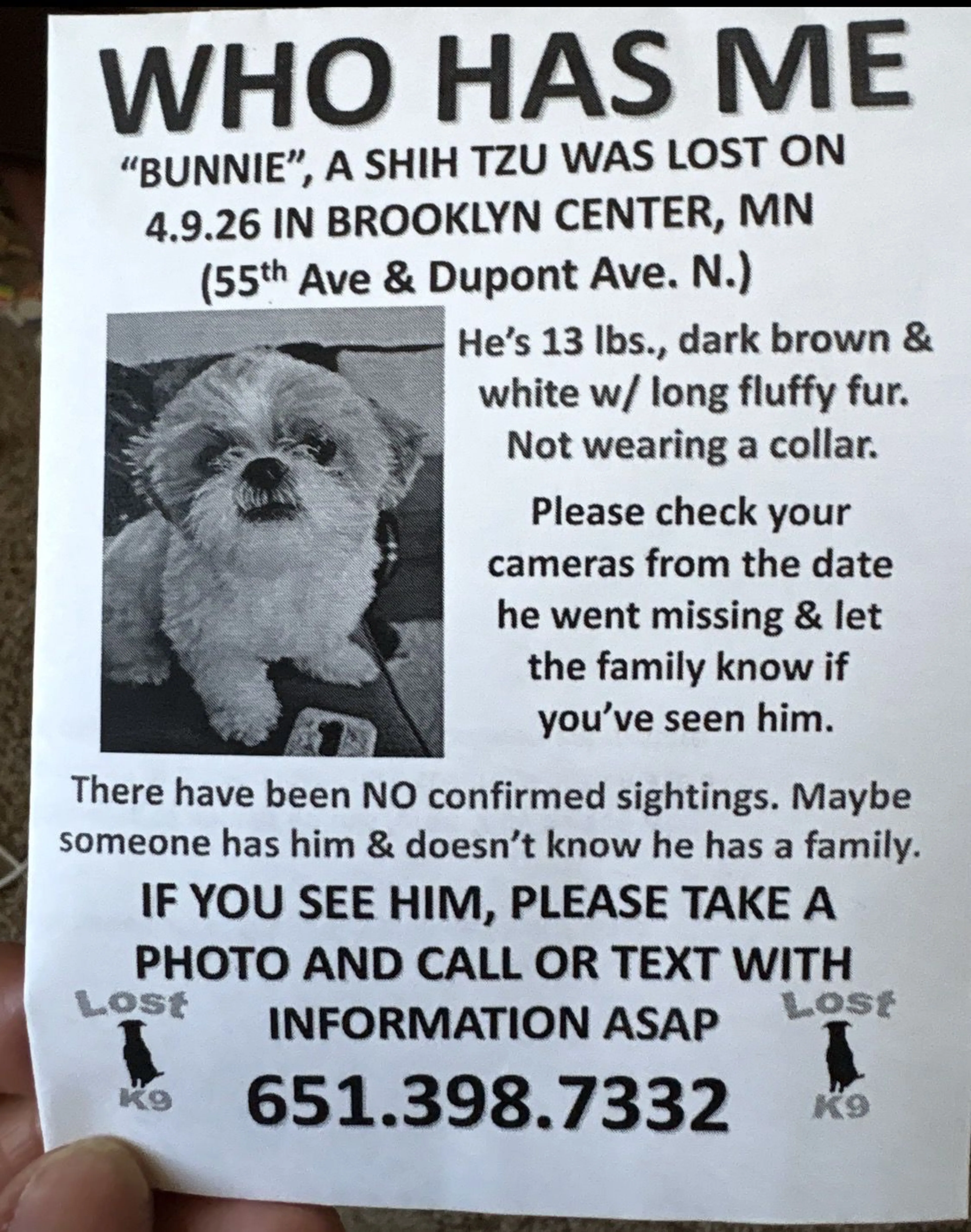 Lost pet