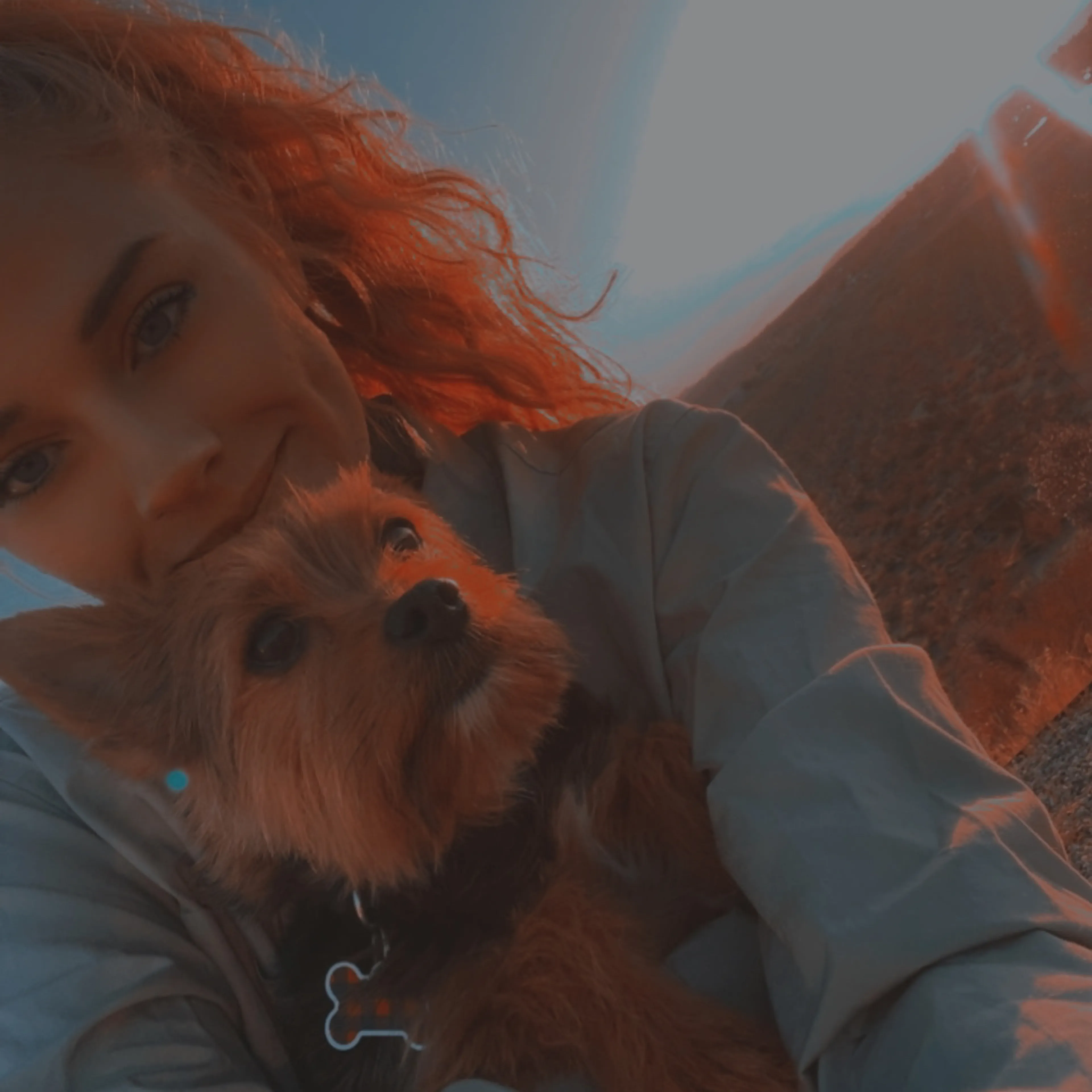 Lost pet-0