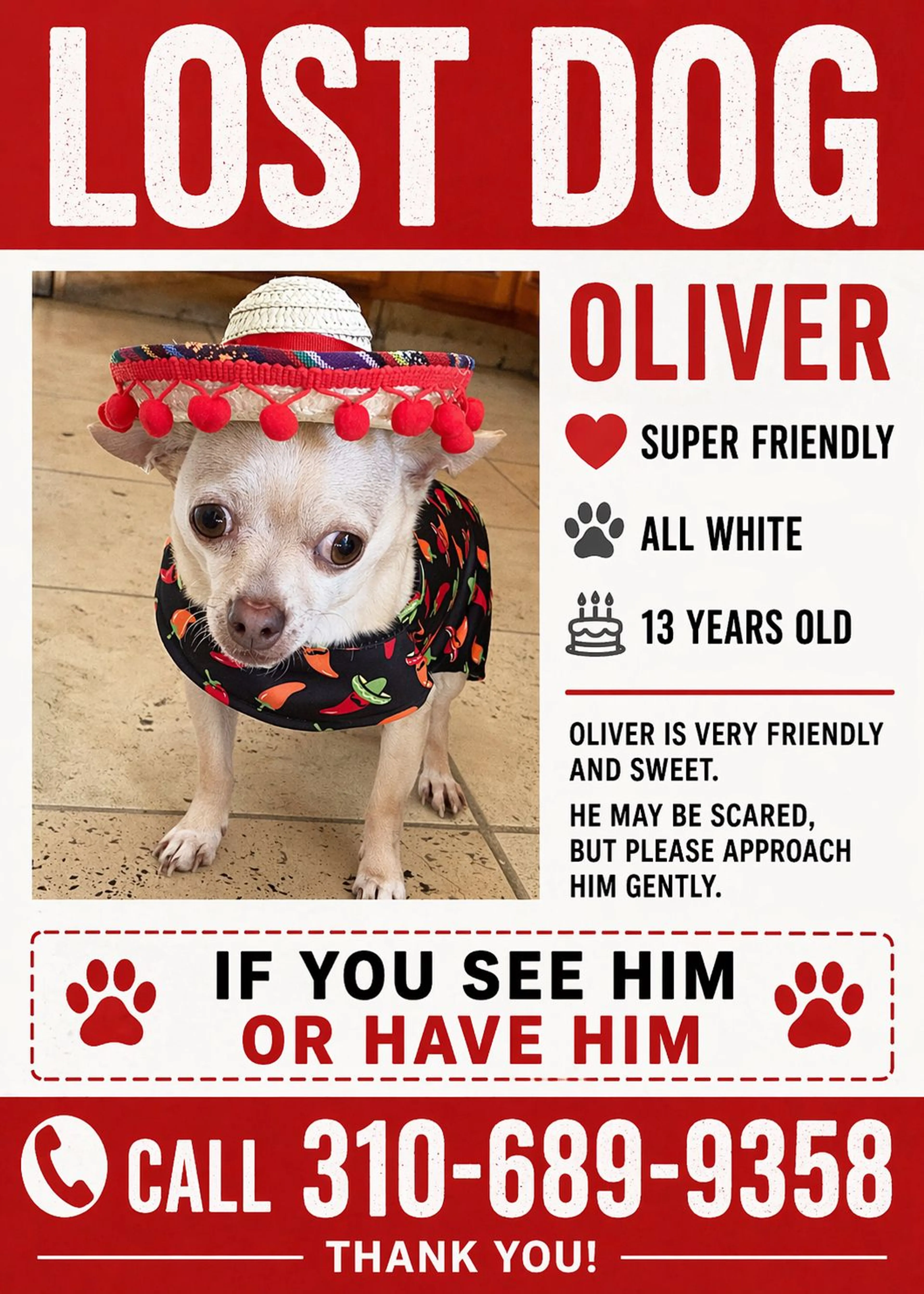Lost pet-0