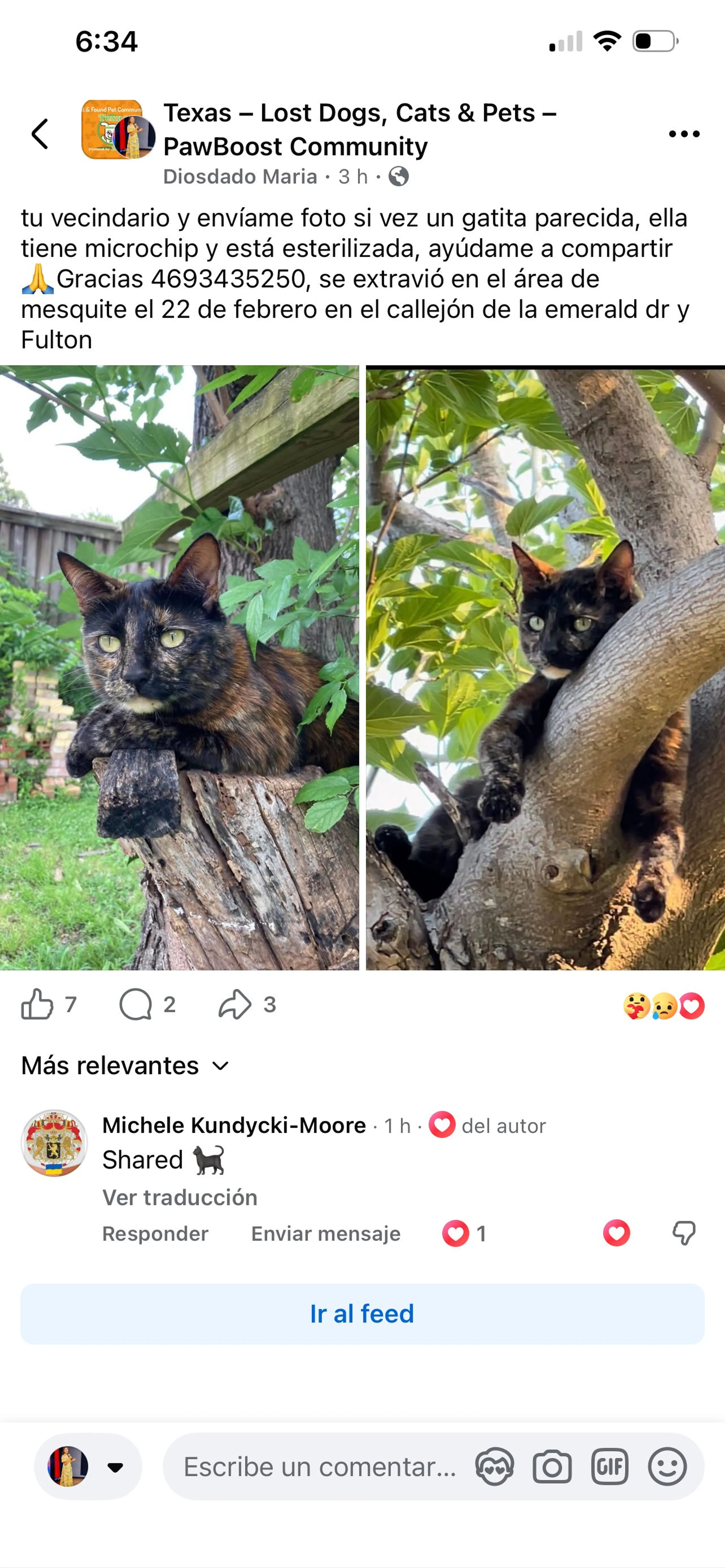 Lost pet