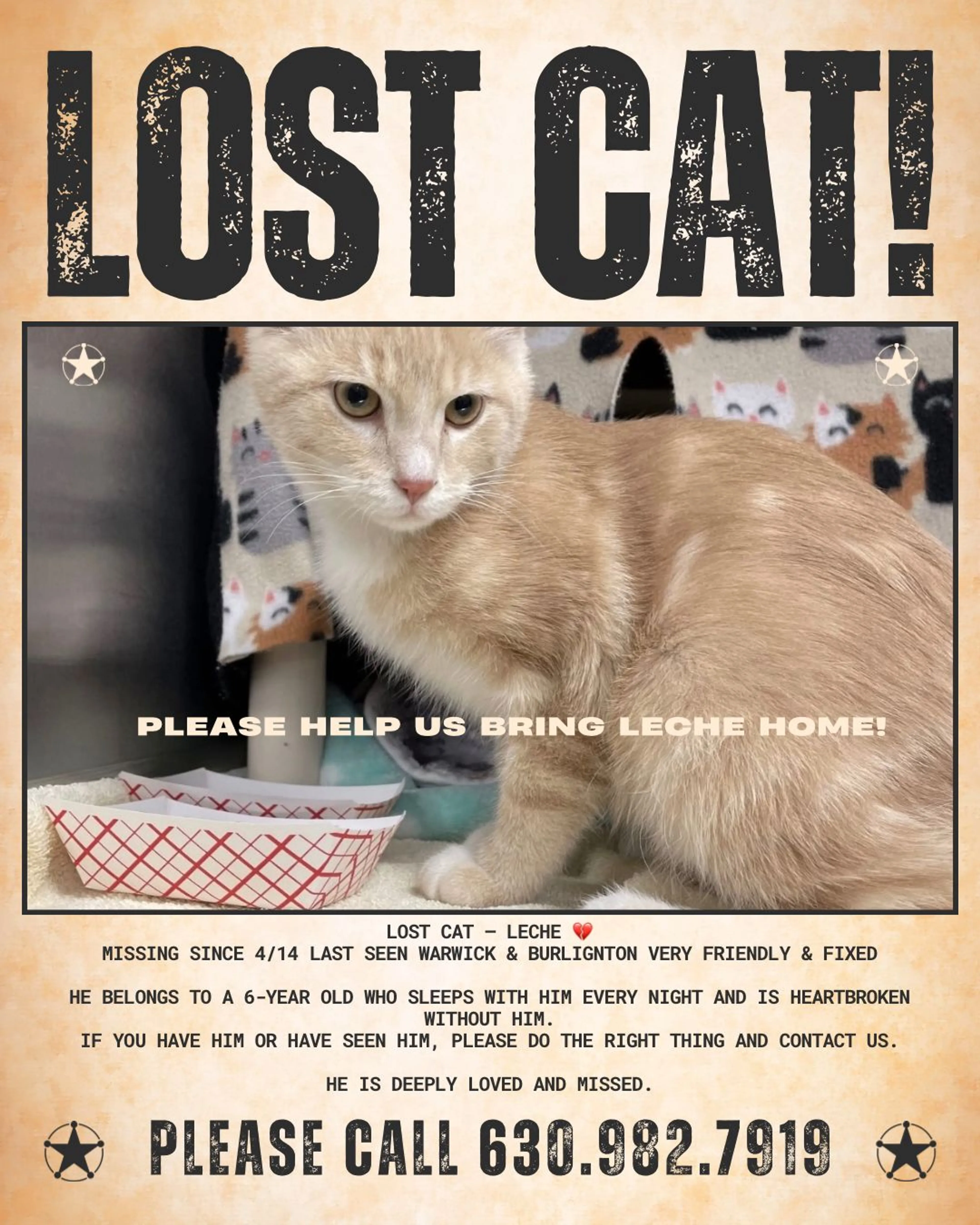 Lost pet
