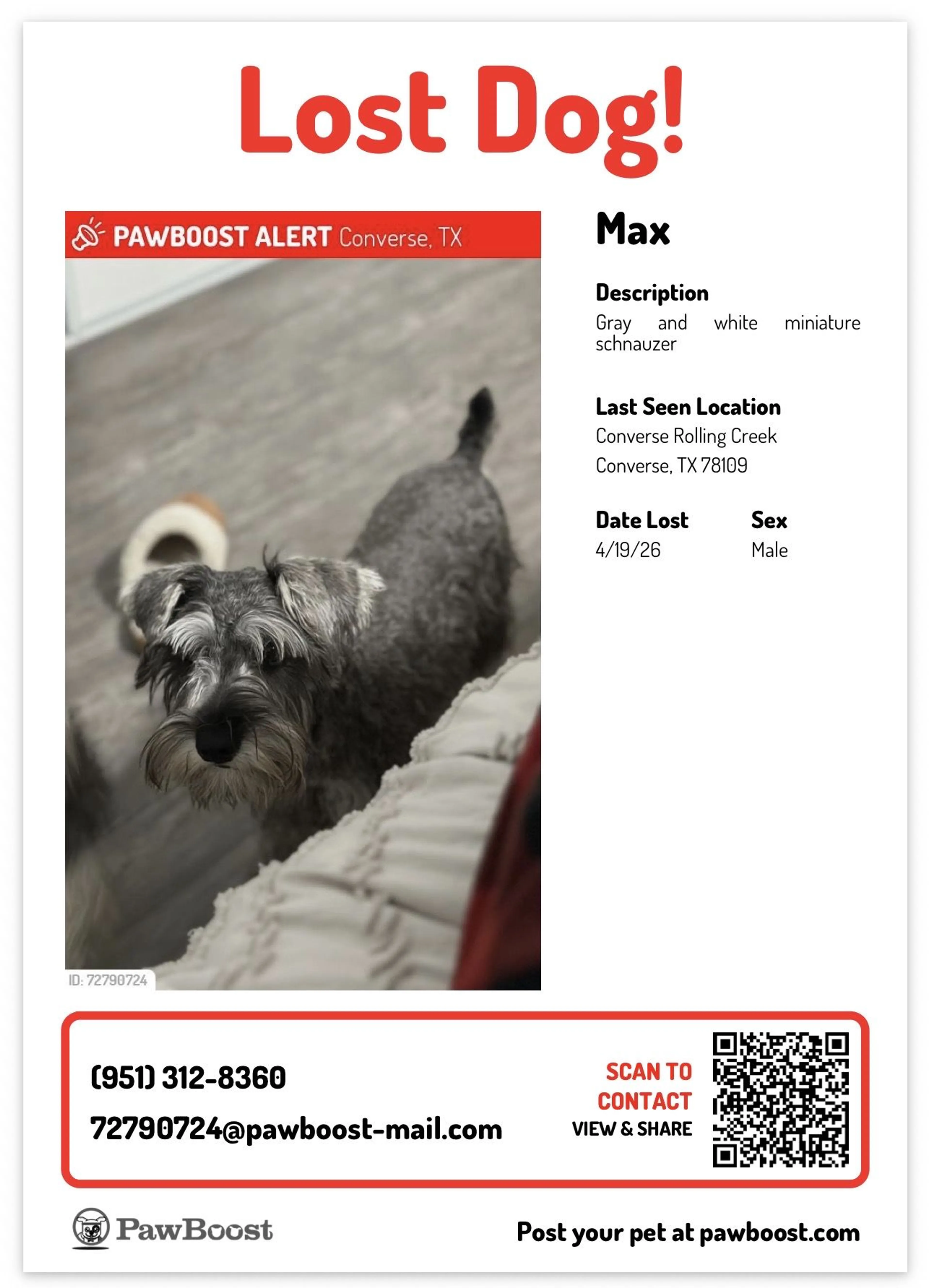 Lost pet-2