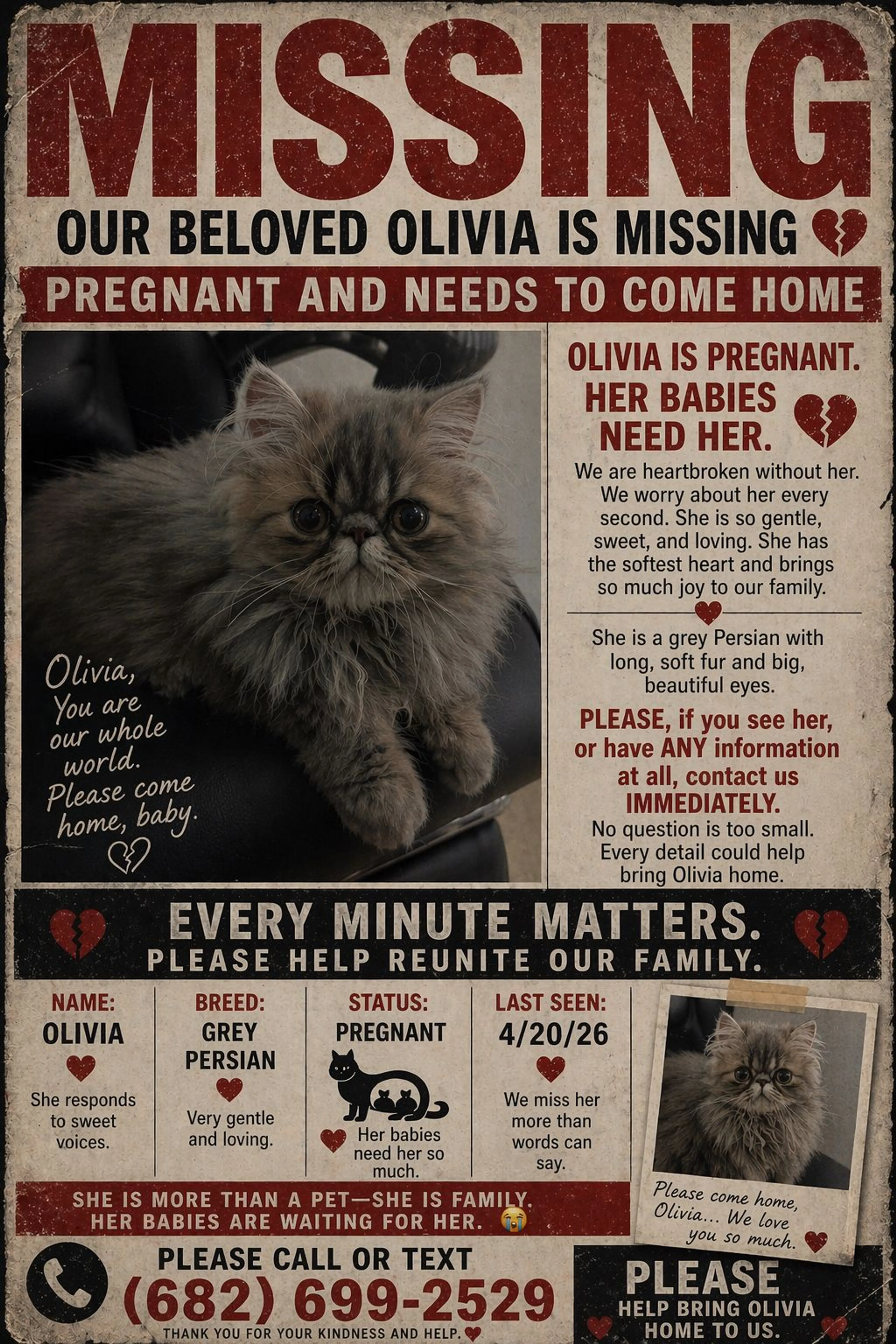 Lost pet