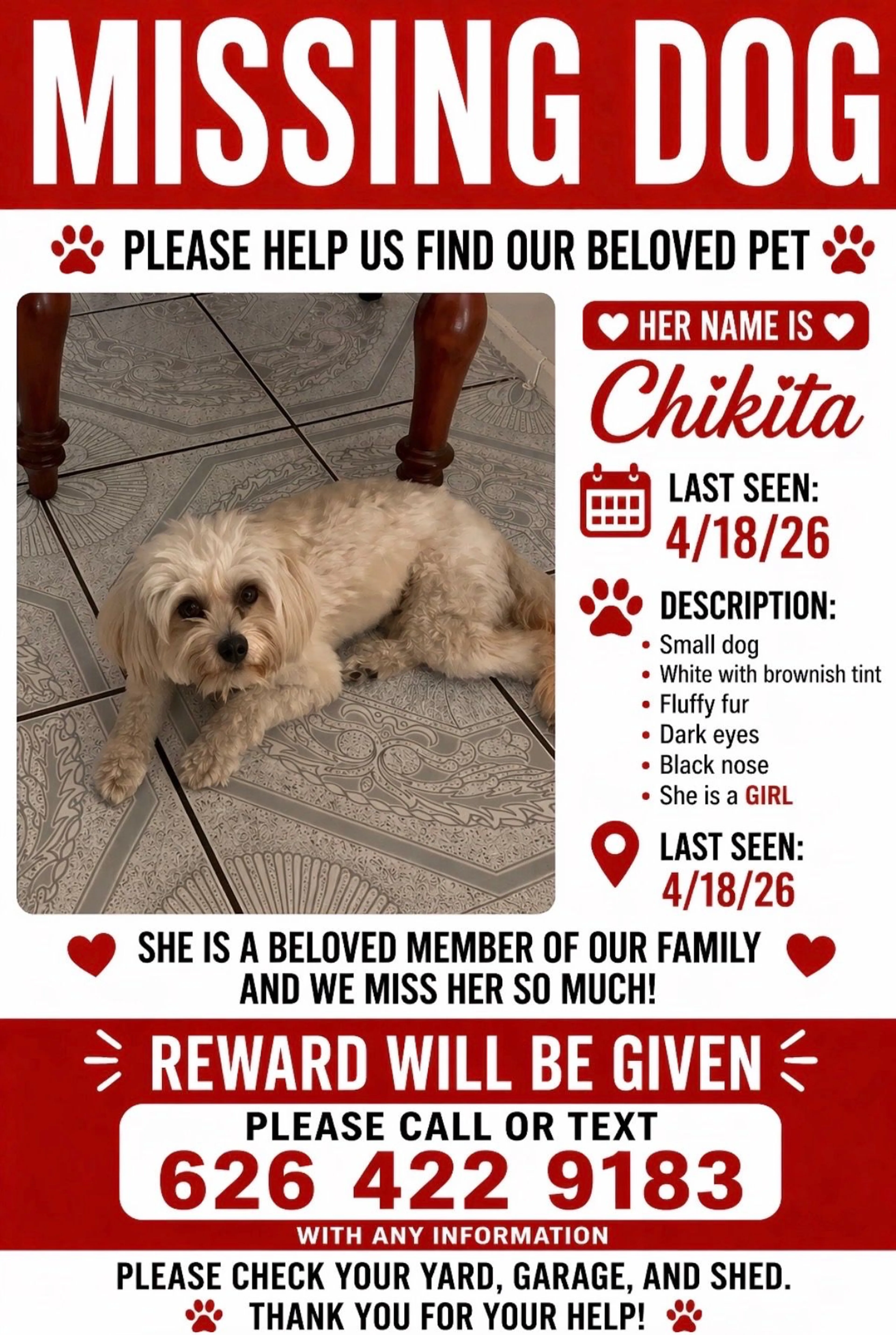 Lost pet
