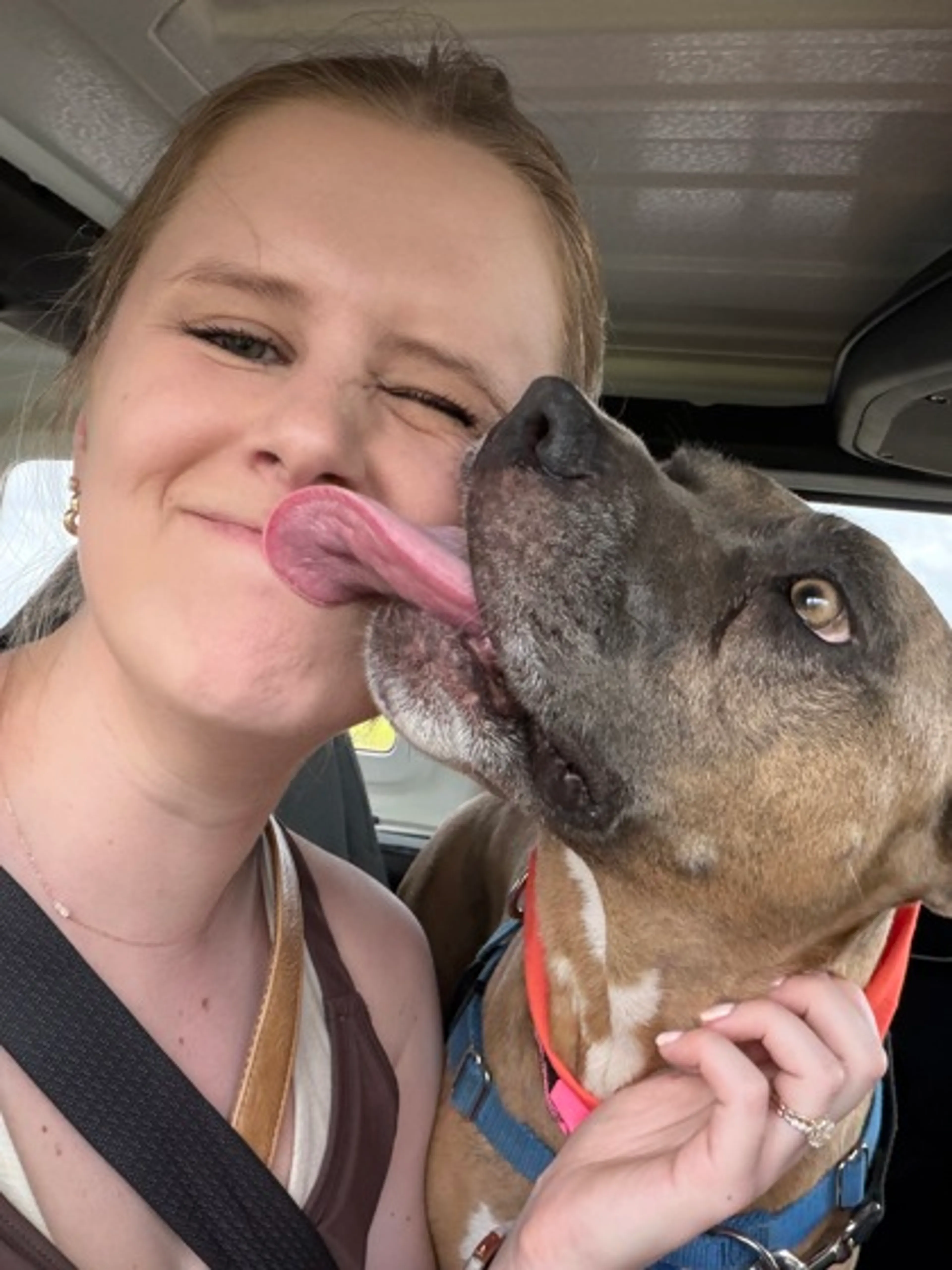 Found pet-2