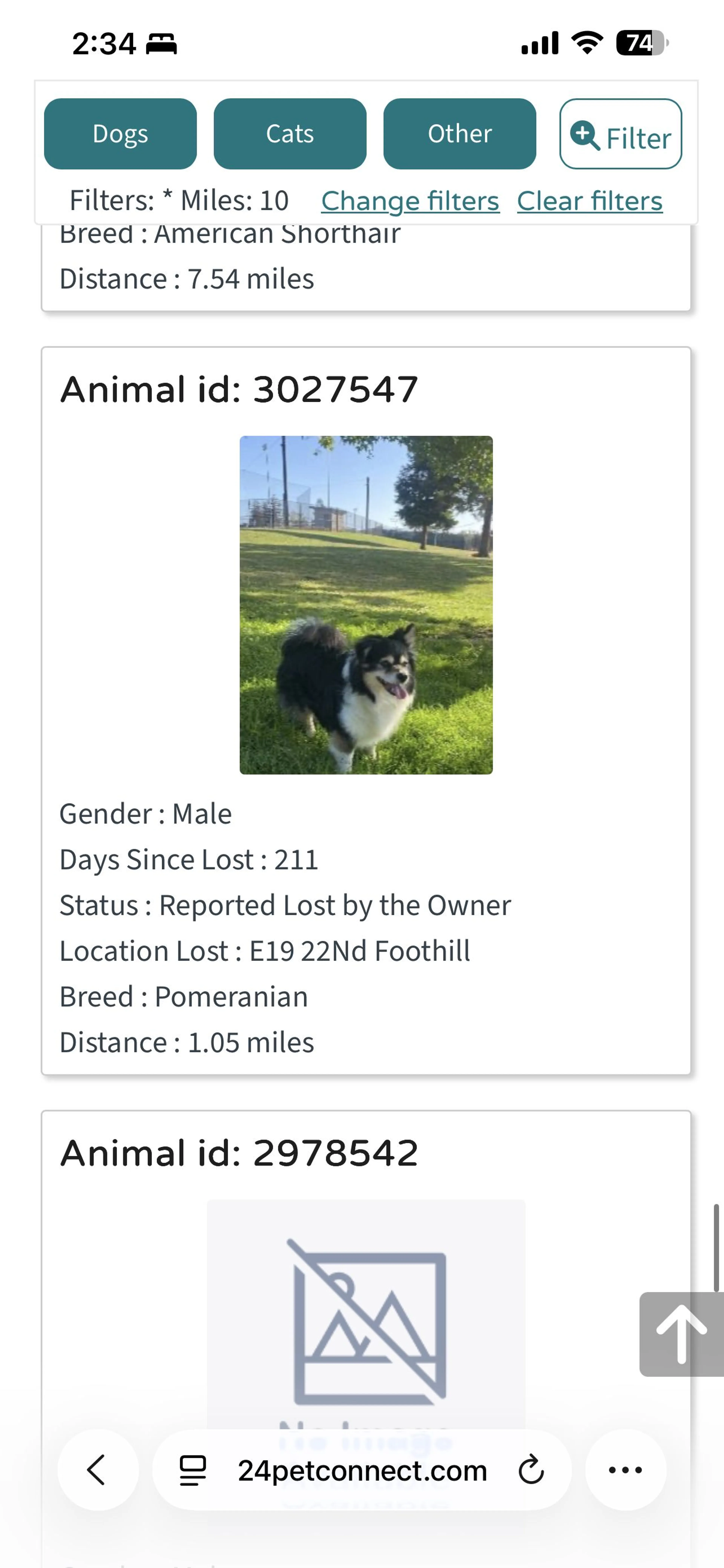 Lost pet