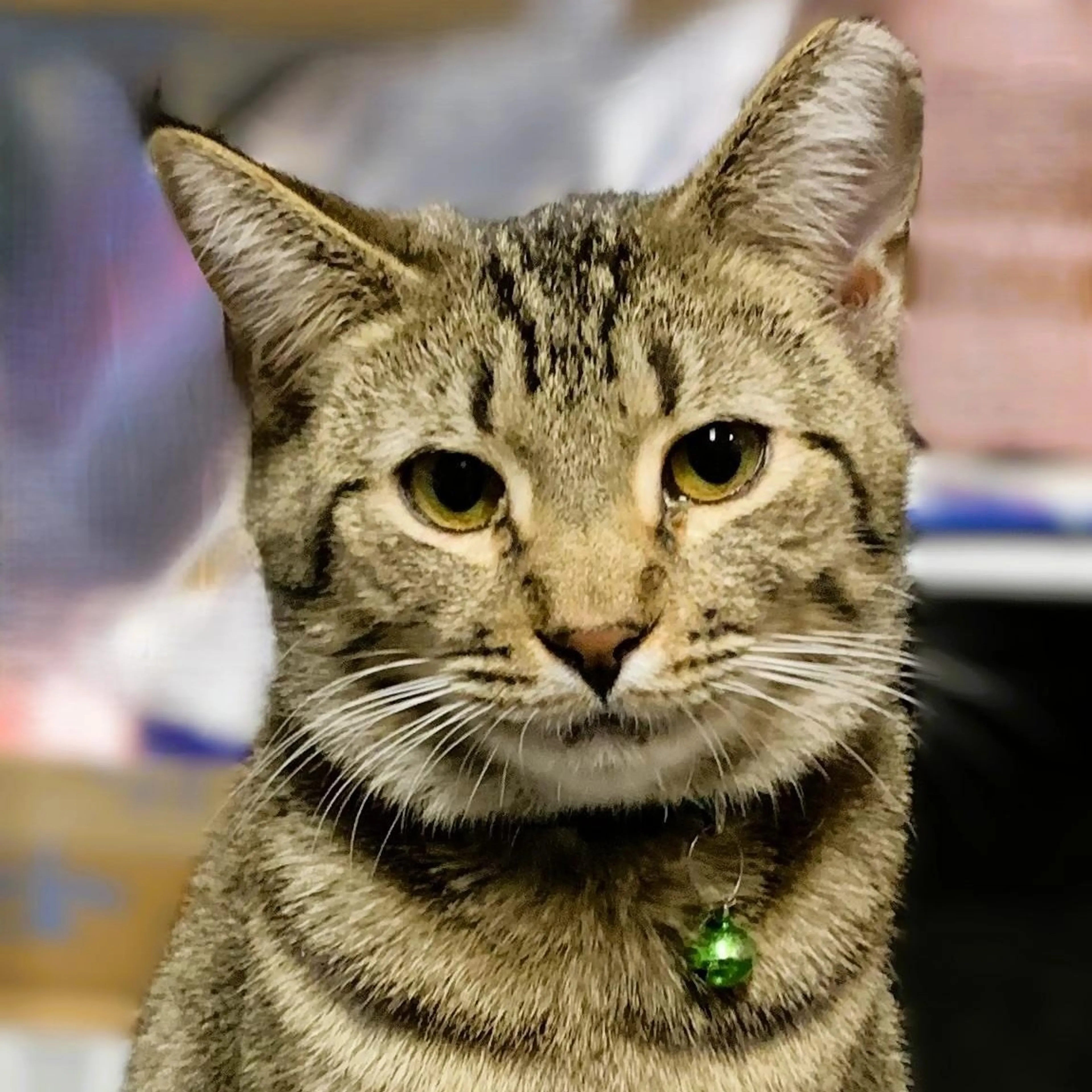 -1