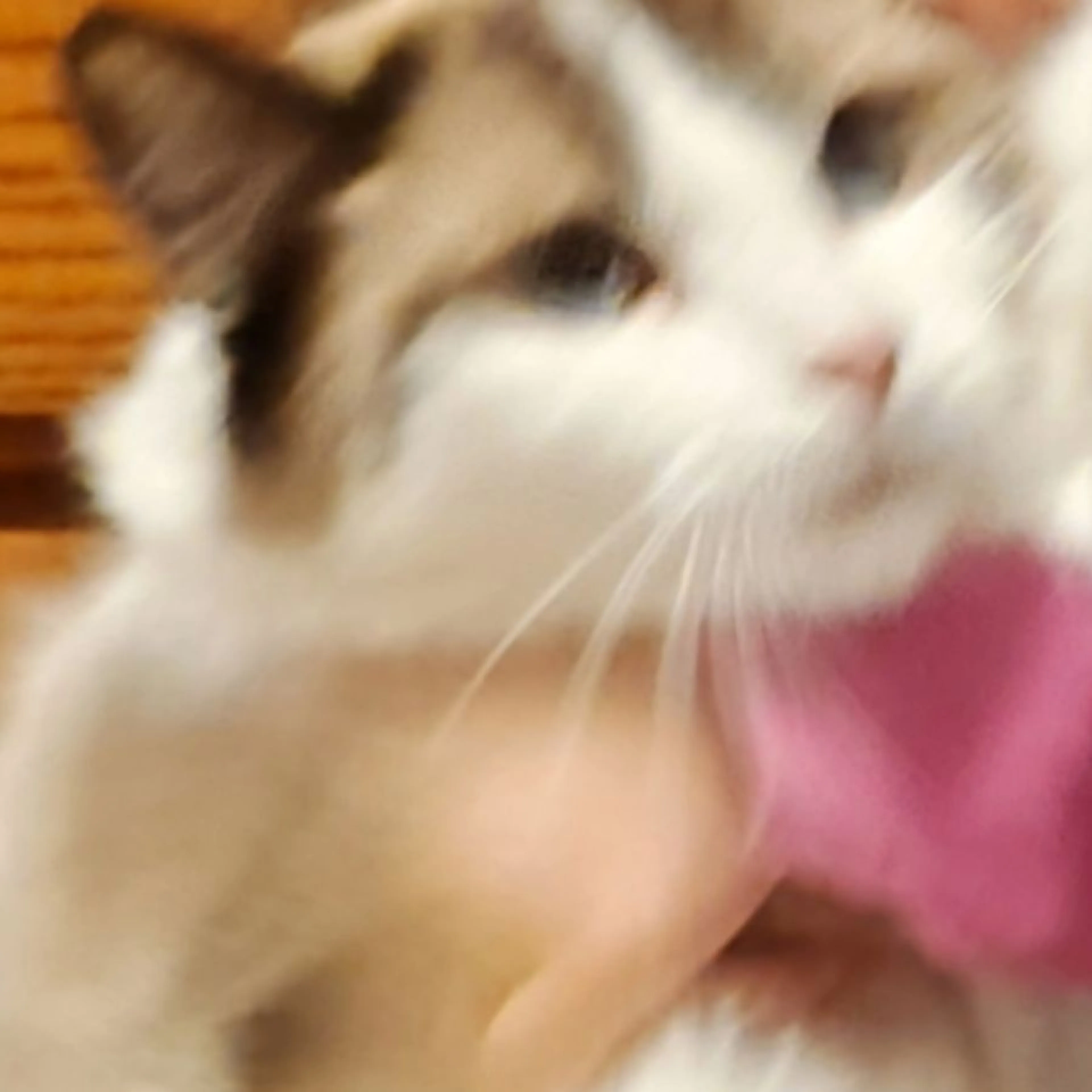 cdn image