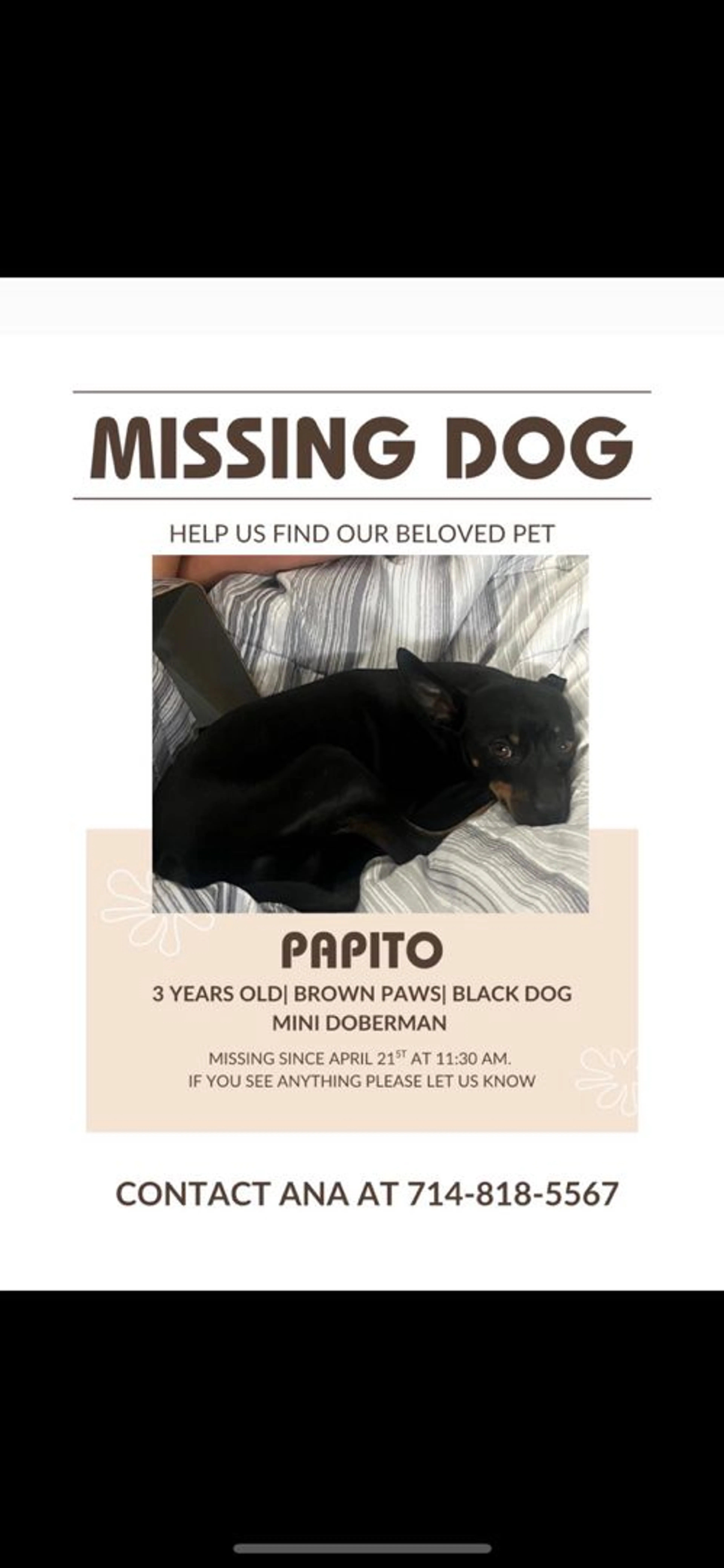 Lost pet
