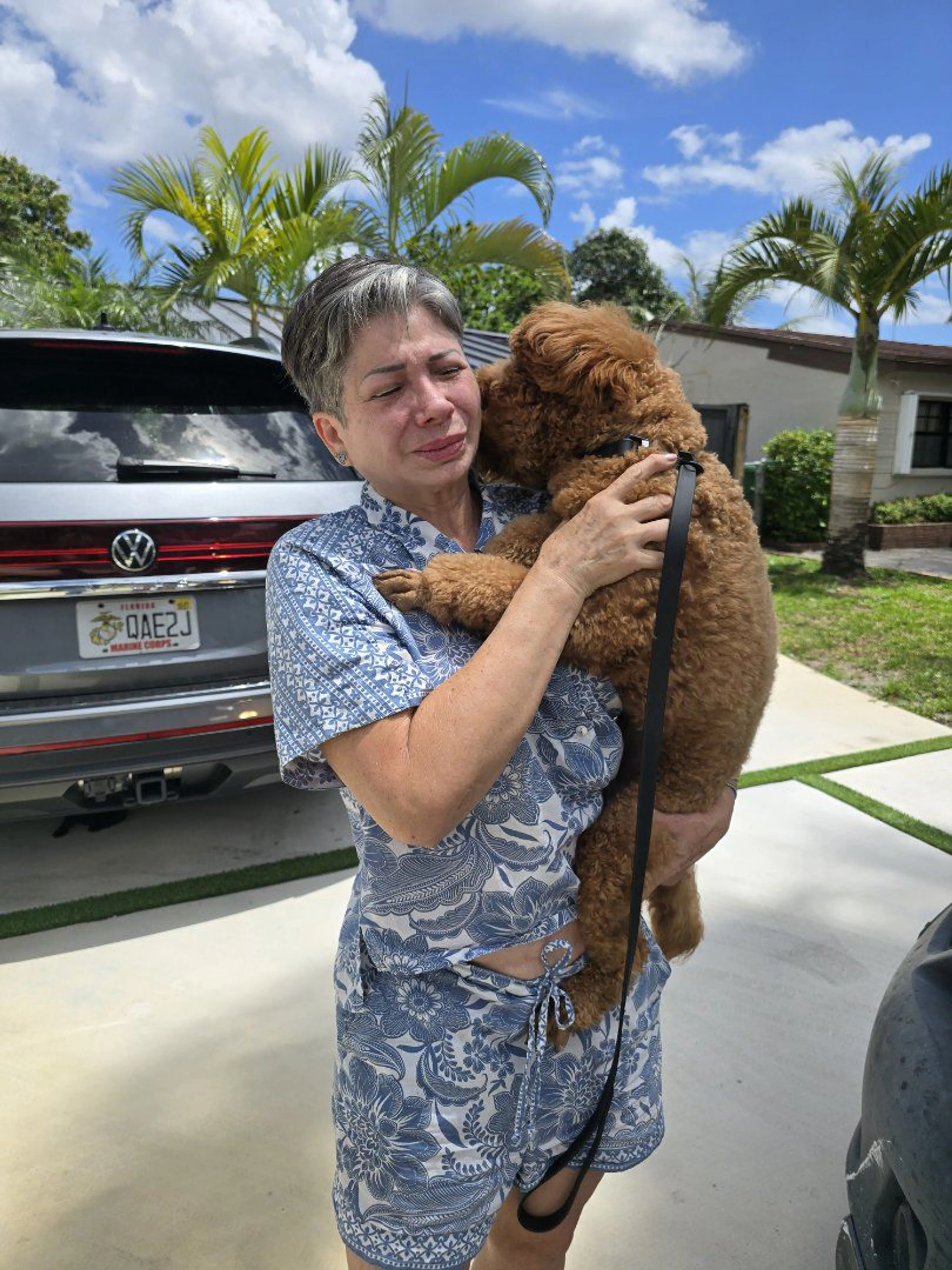 Lost pet-4
