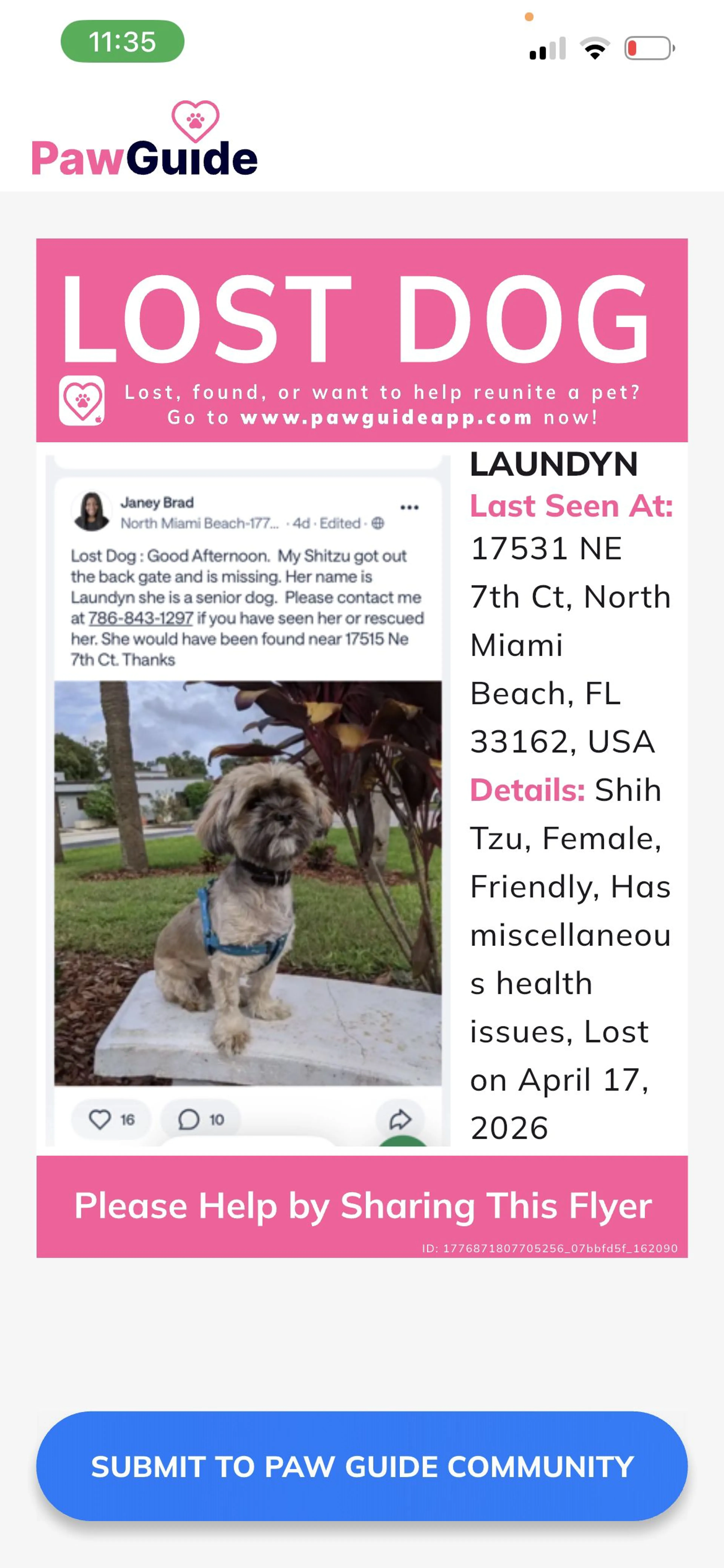 Lost pet