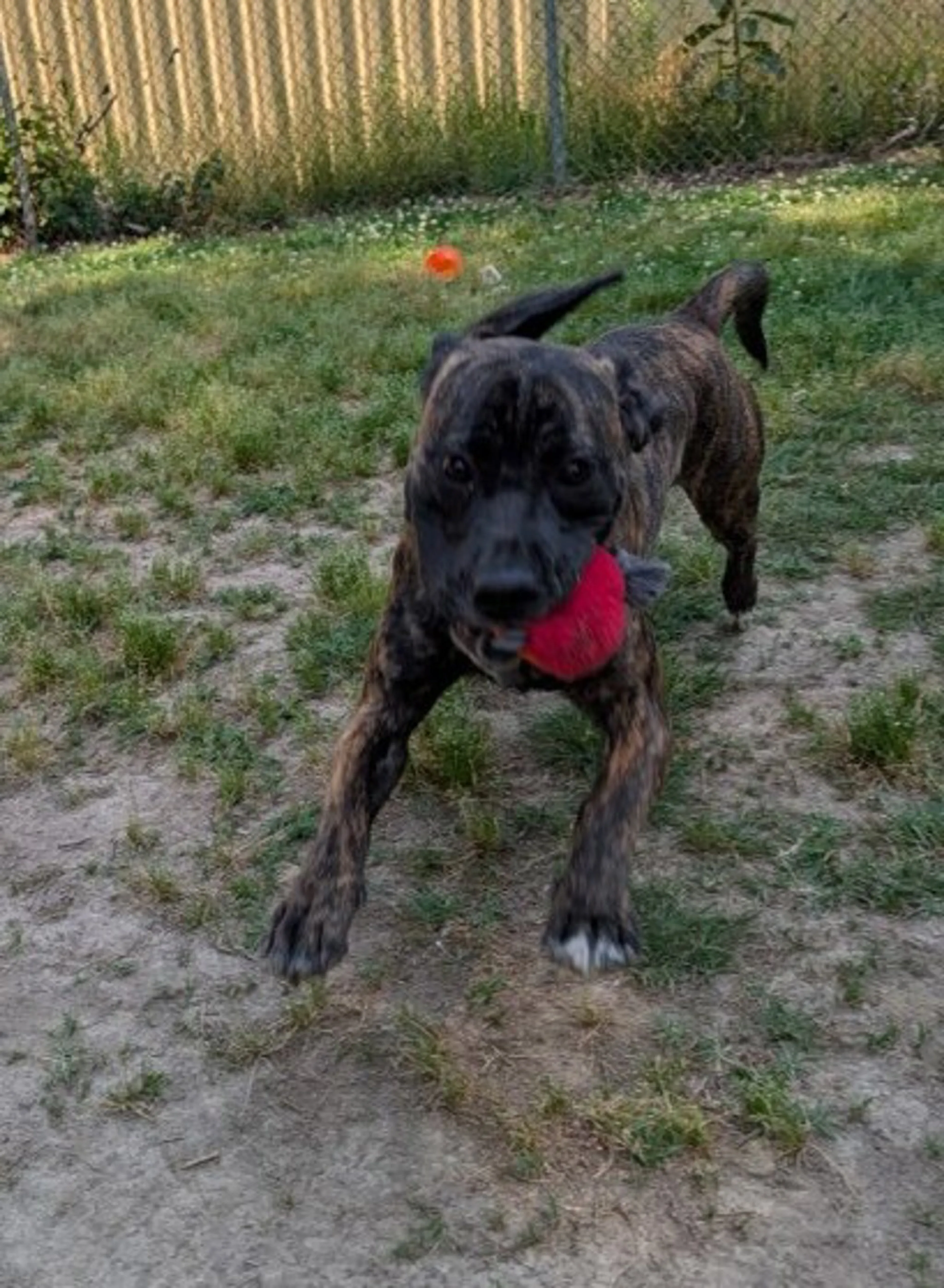 -2