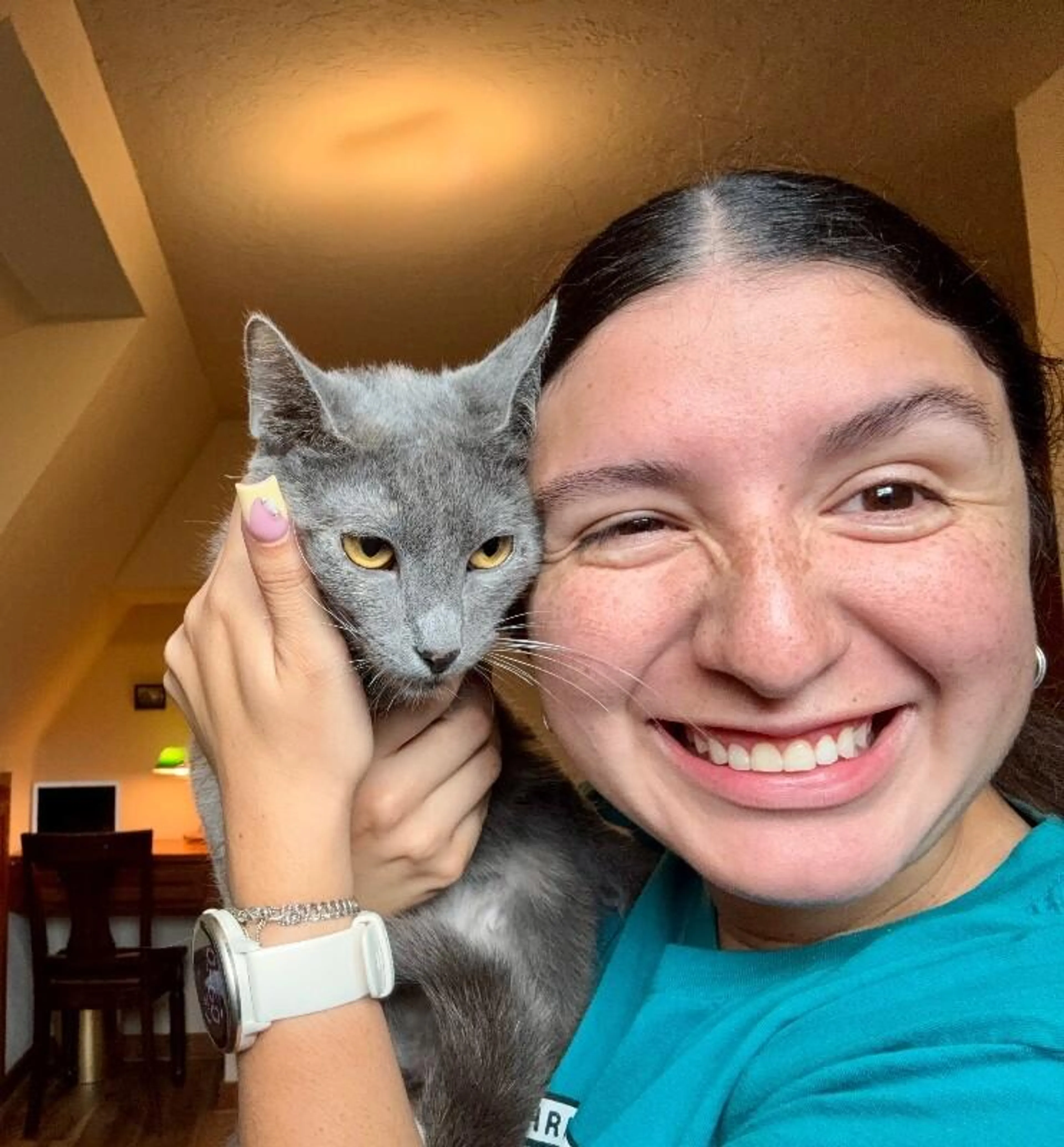 Found pet-3
