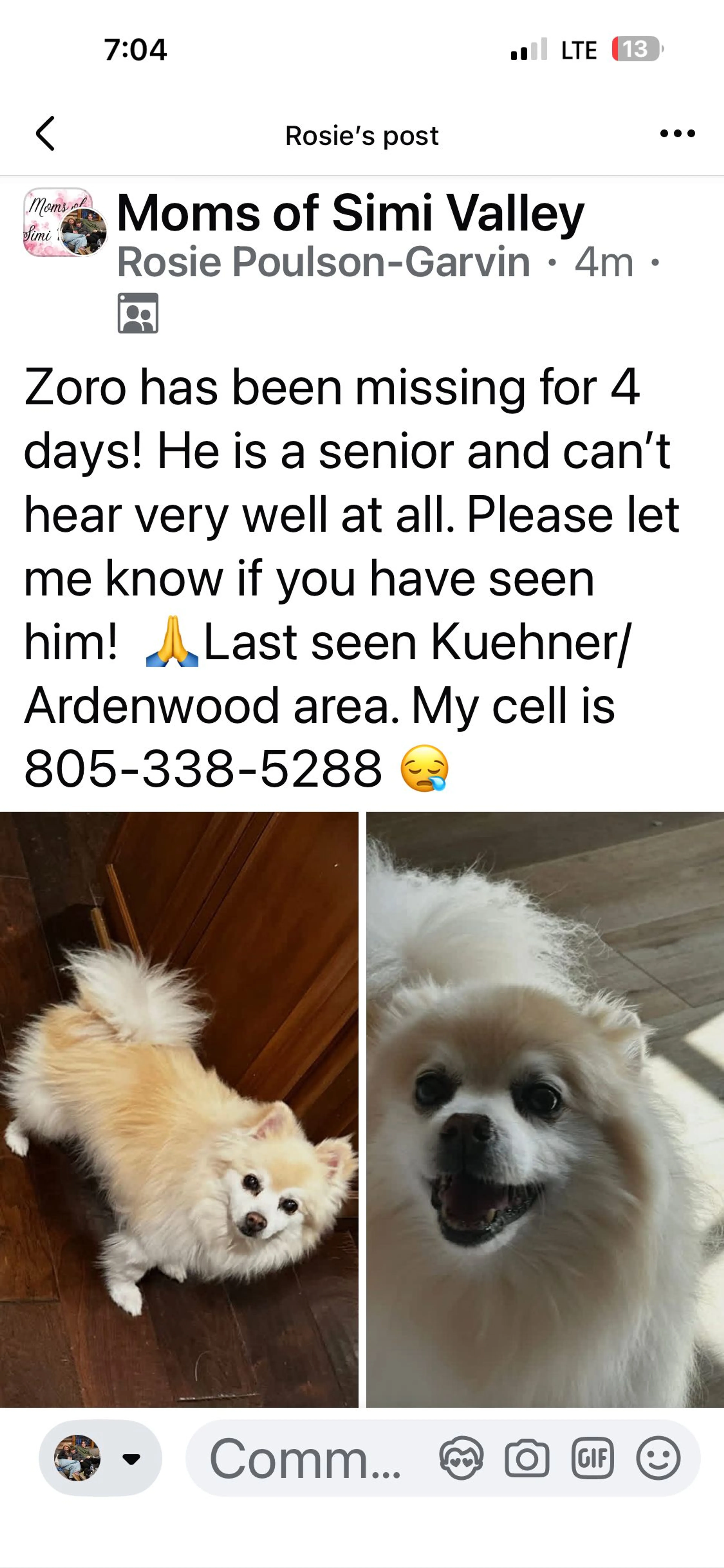 Lost pet