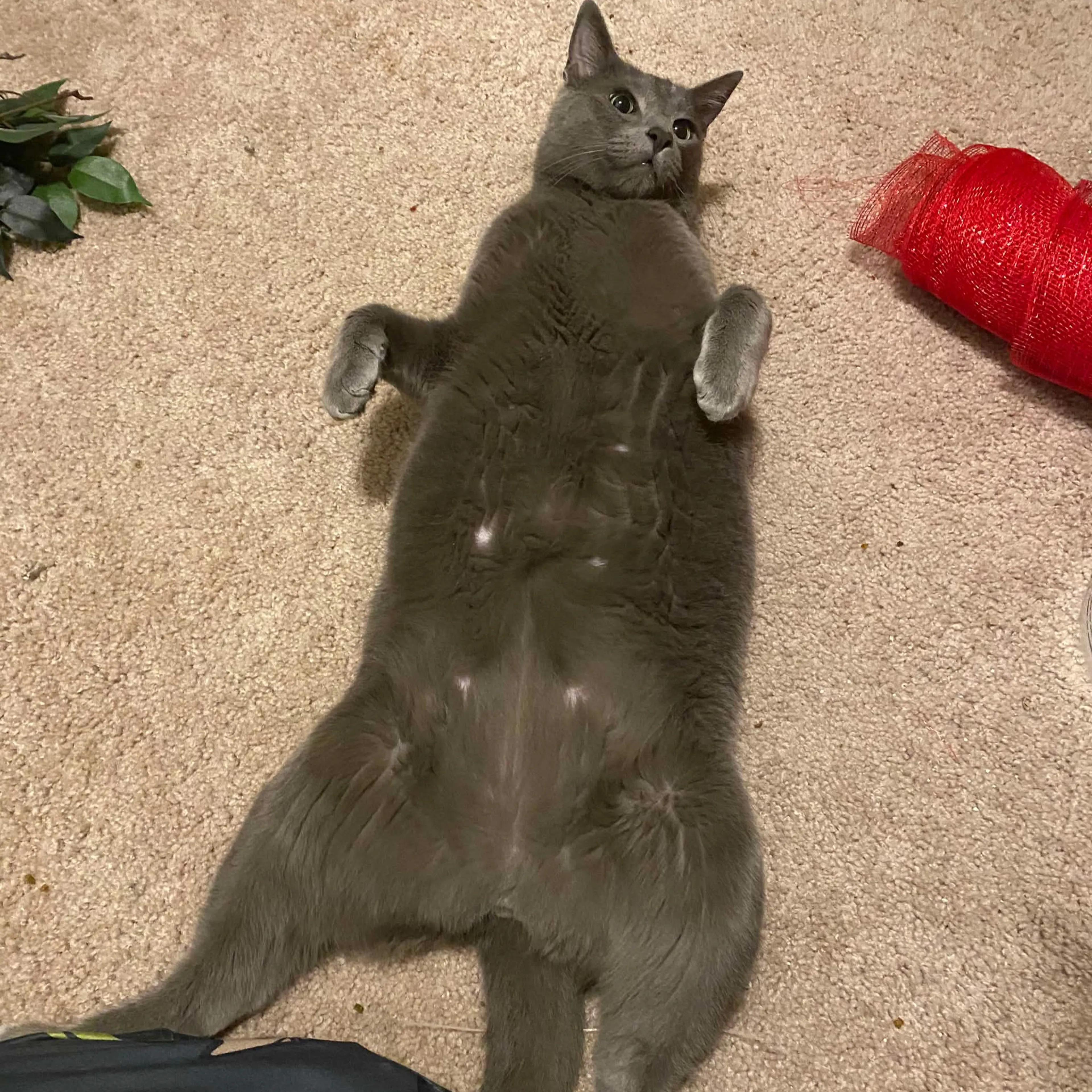 -3