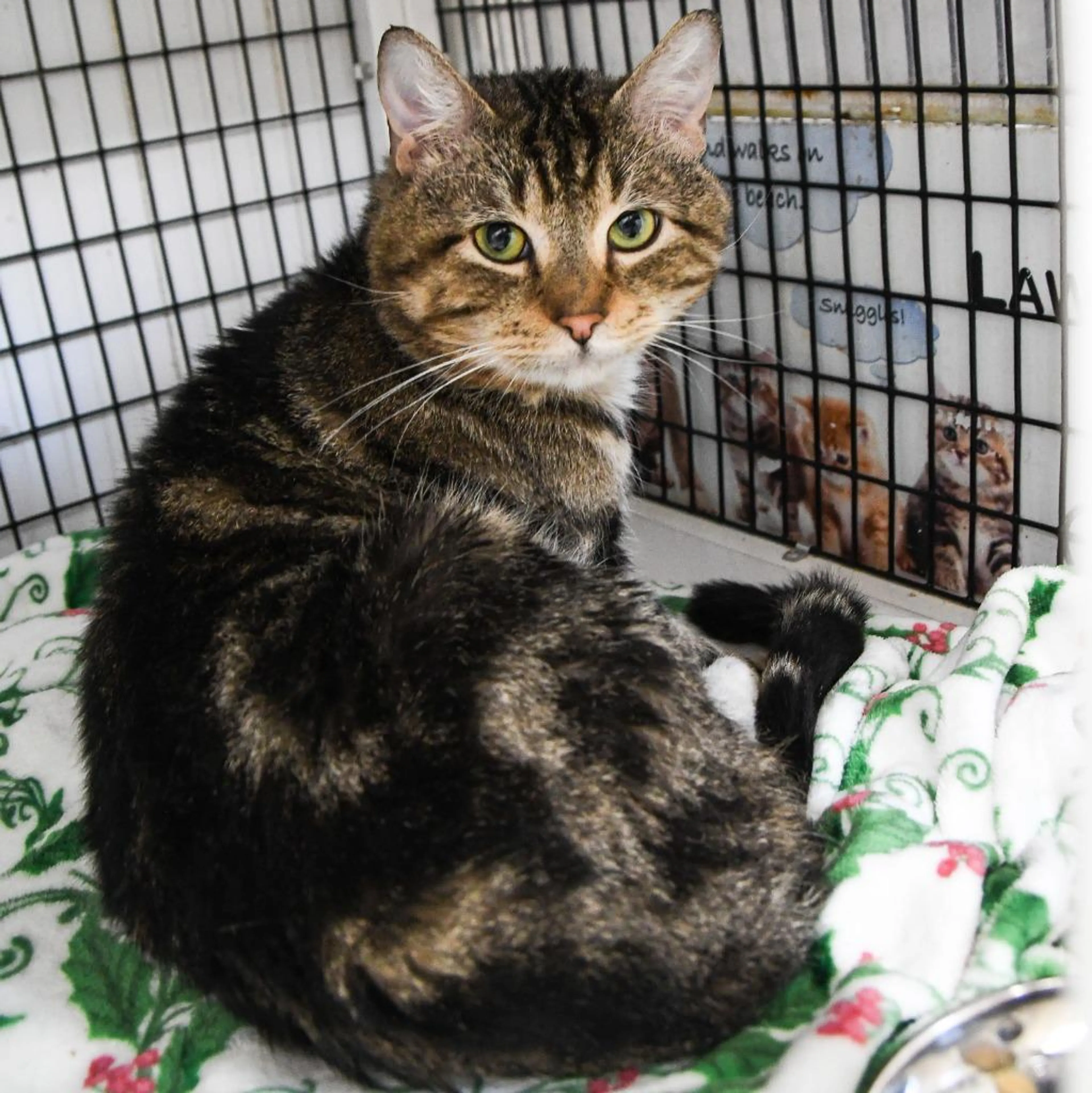 -2