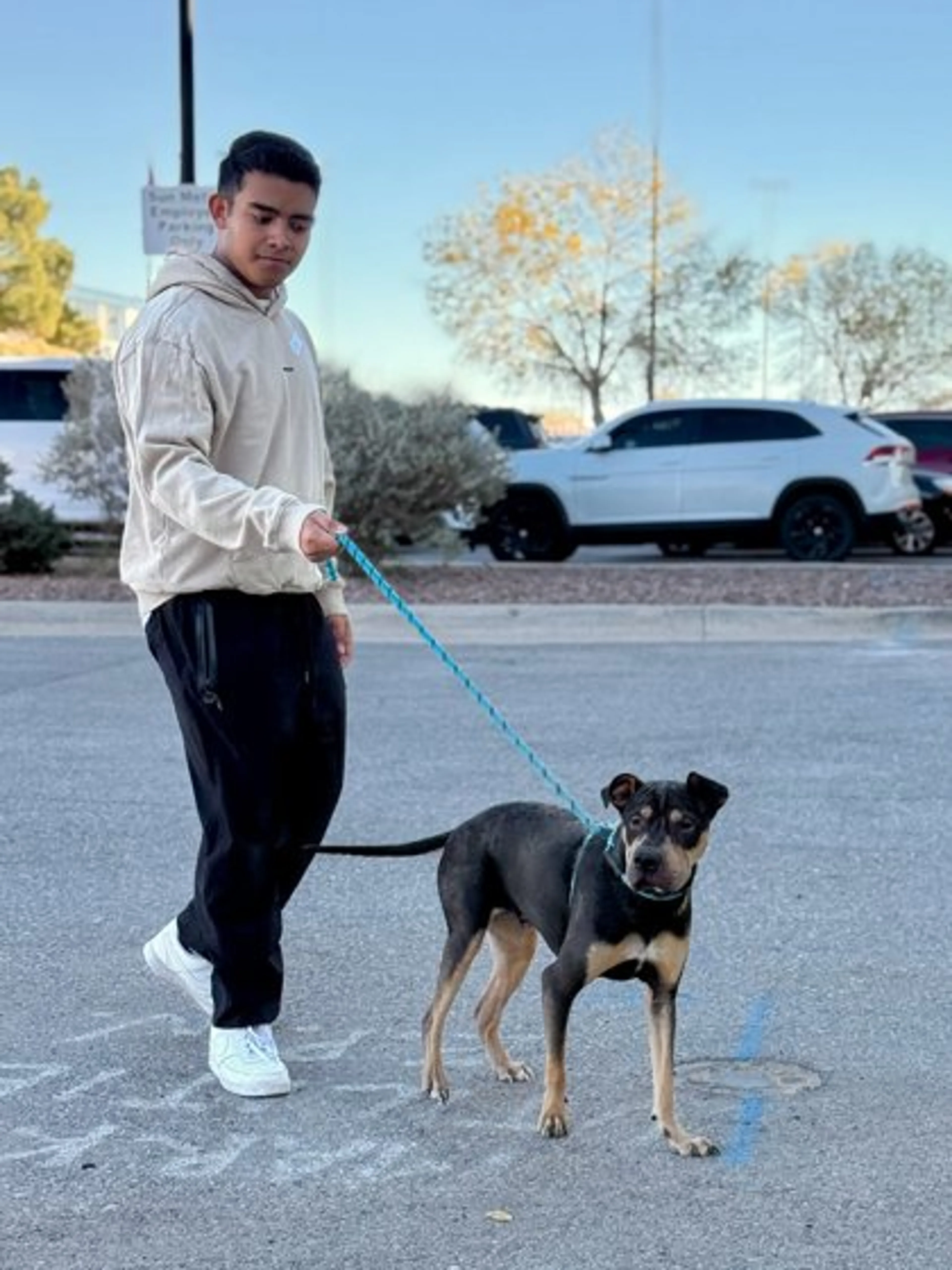 Found pet-2