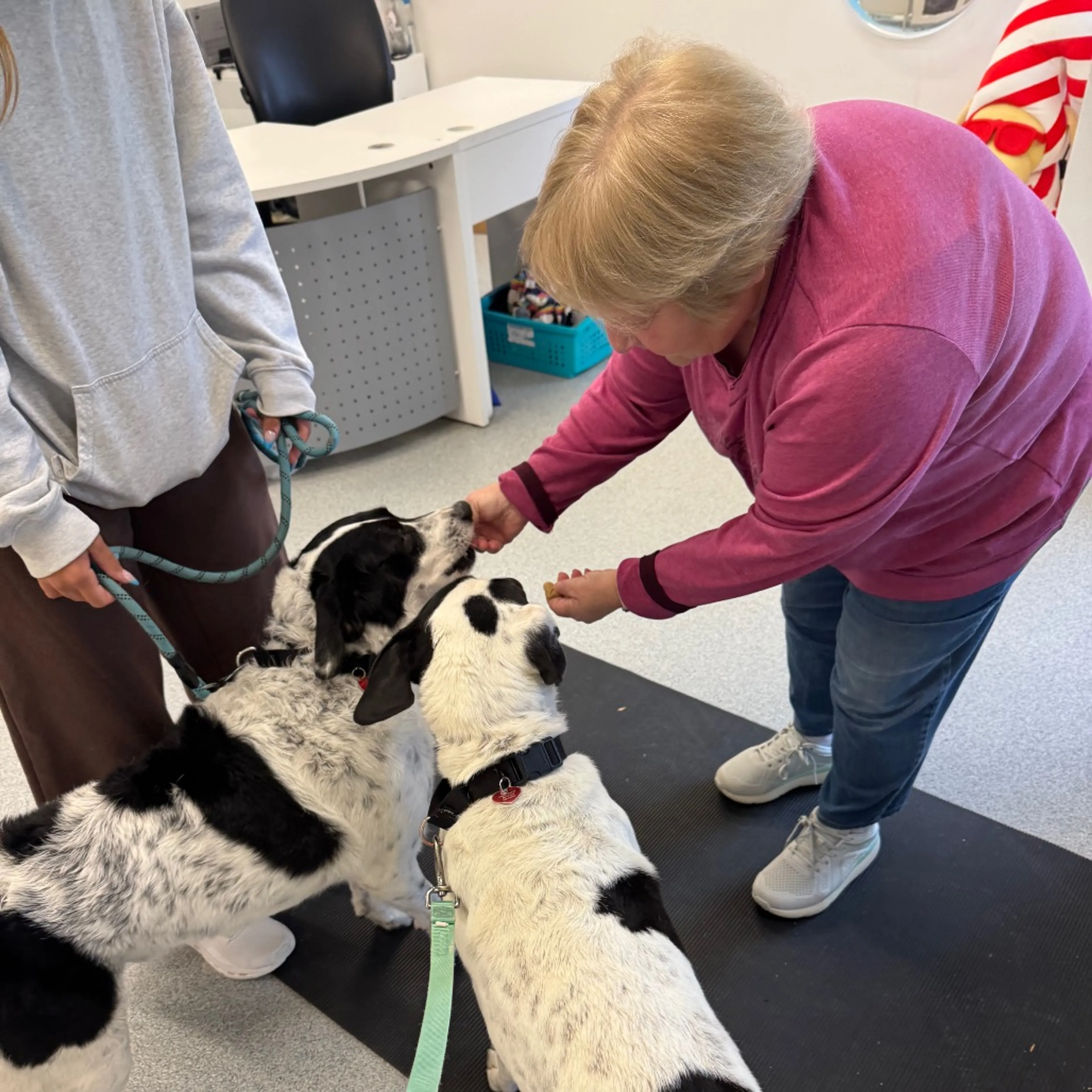 Found pet-39
