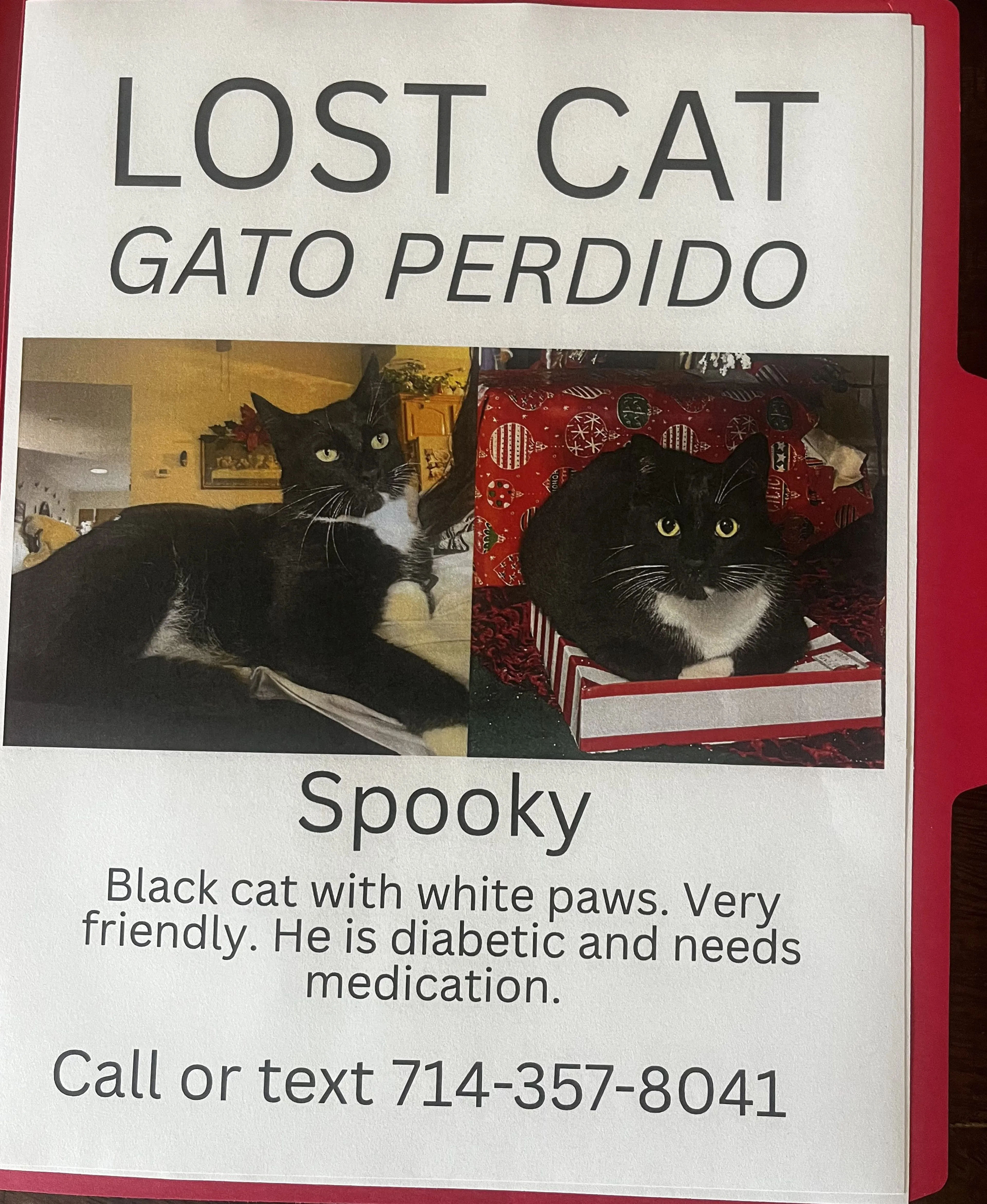 Lost pet