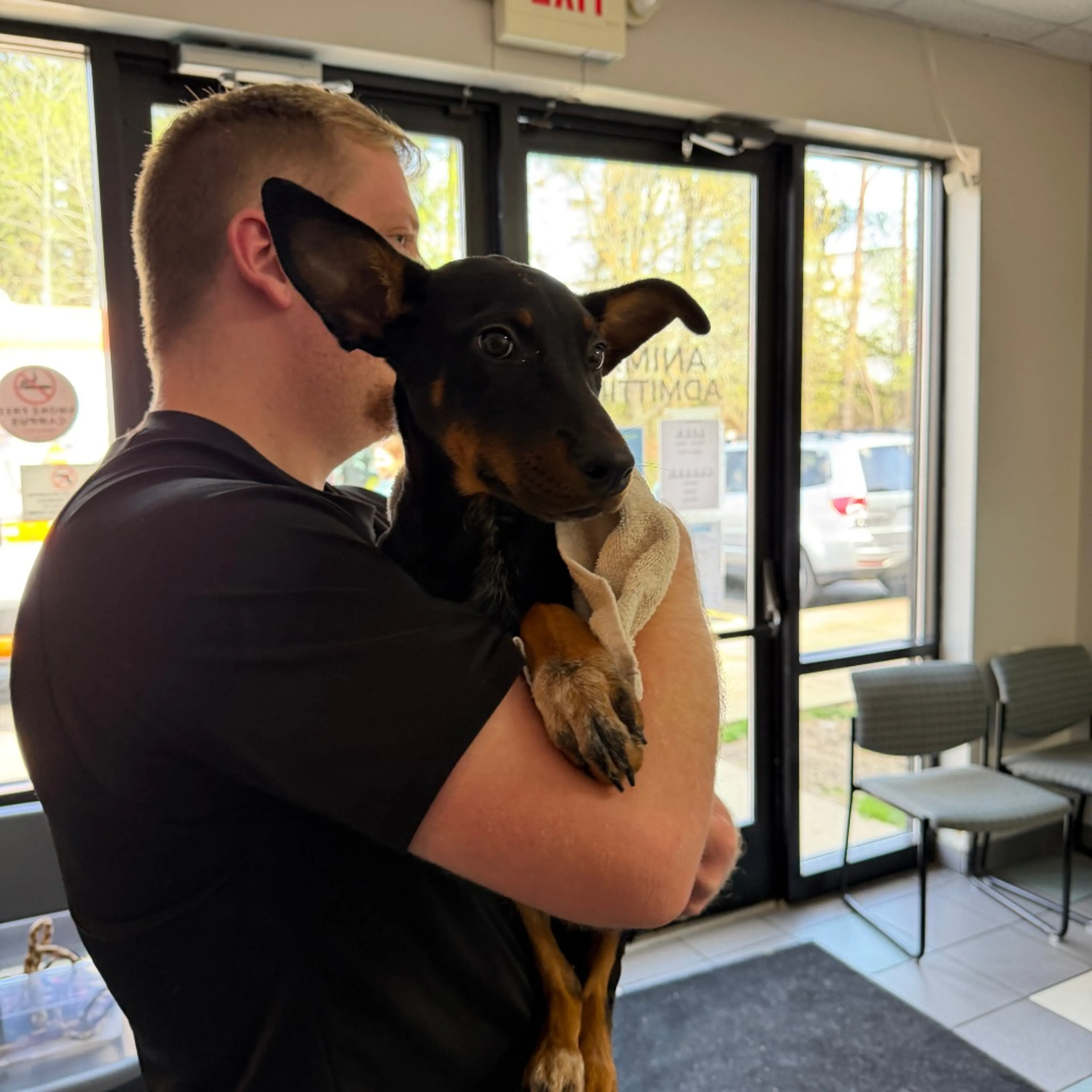 Found pet-2