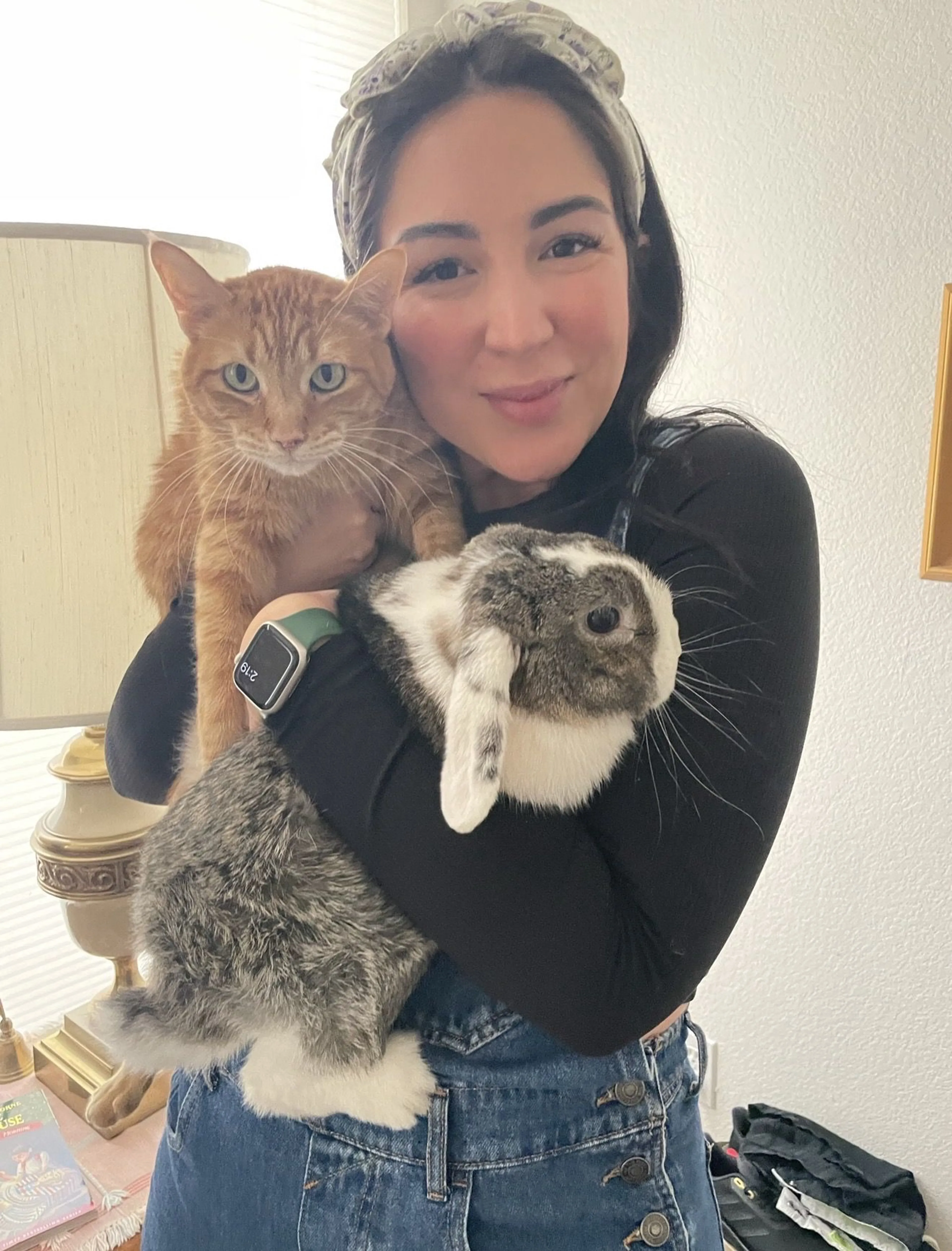 Lost pet-2