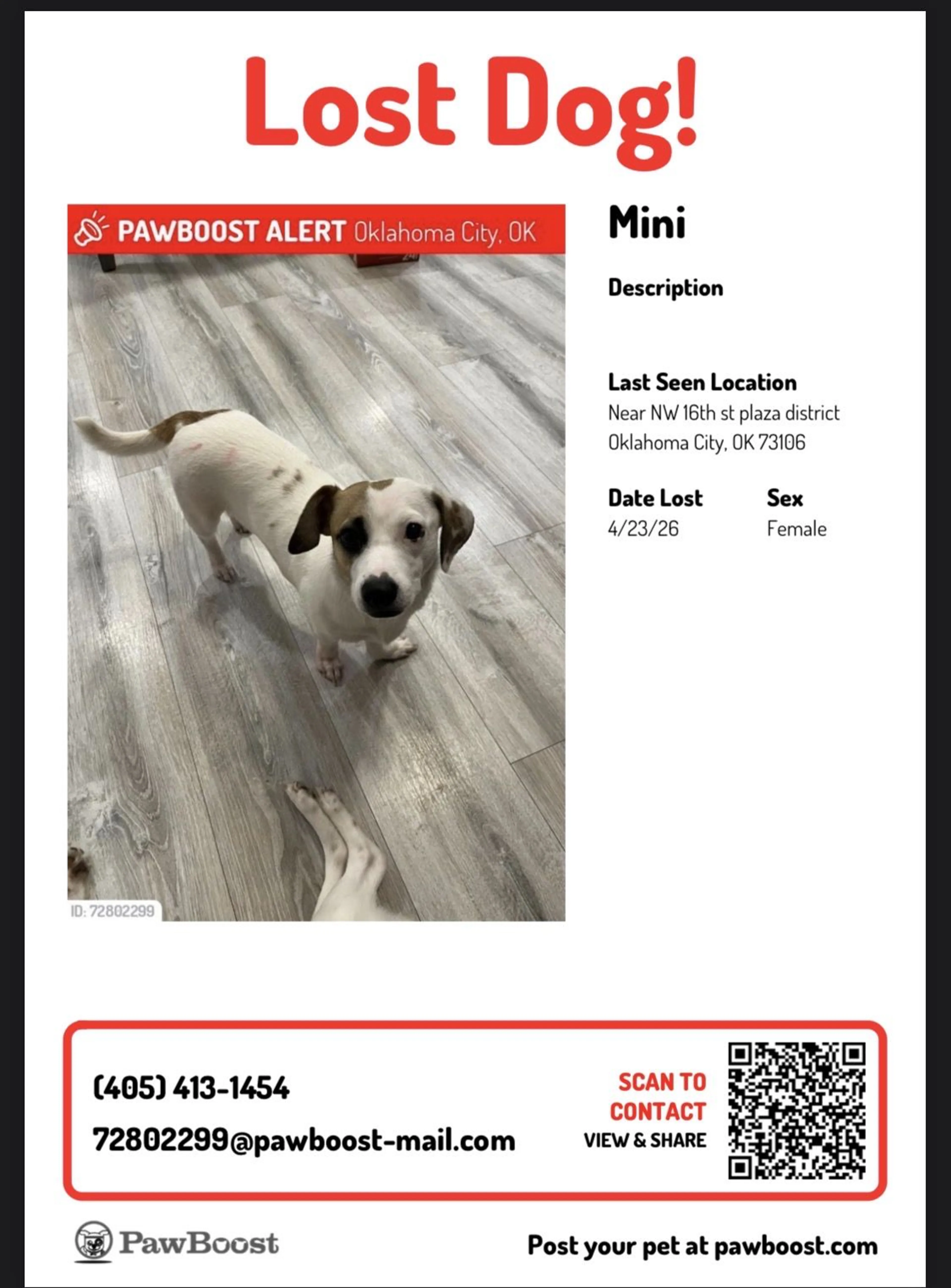 Lost pet