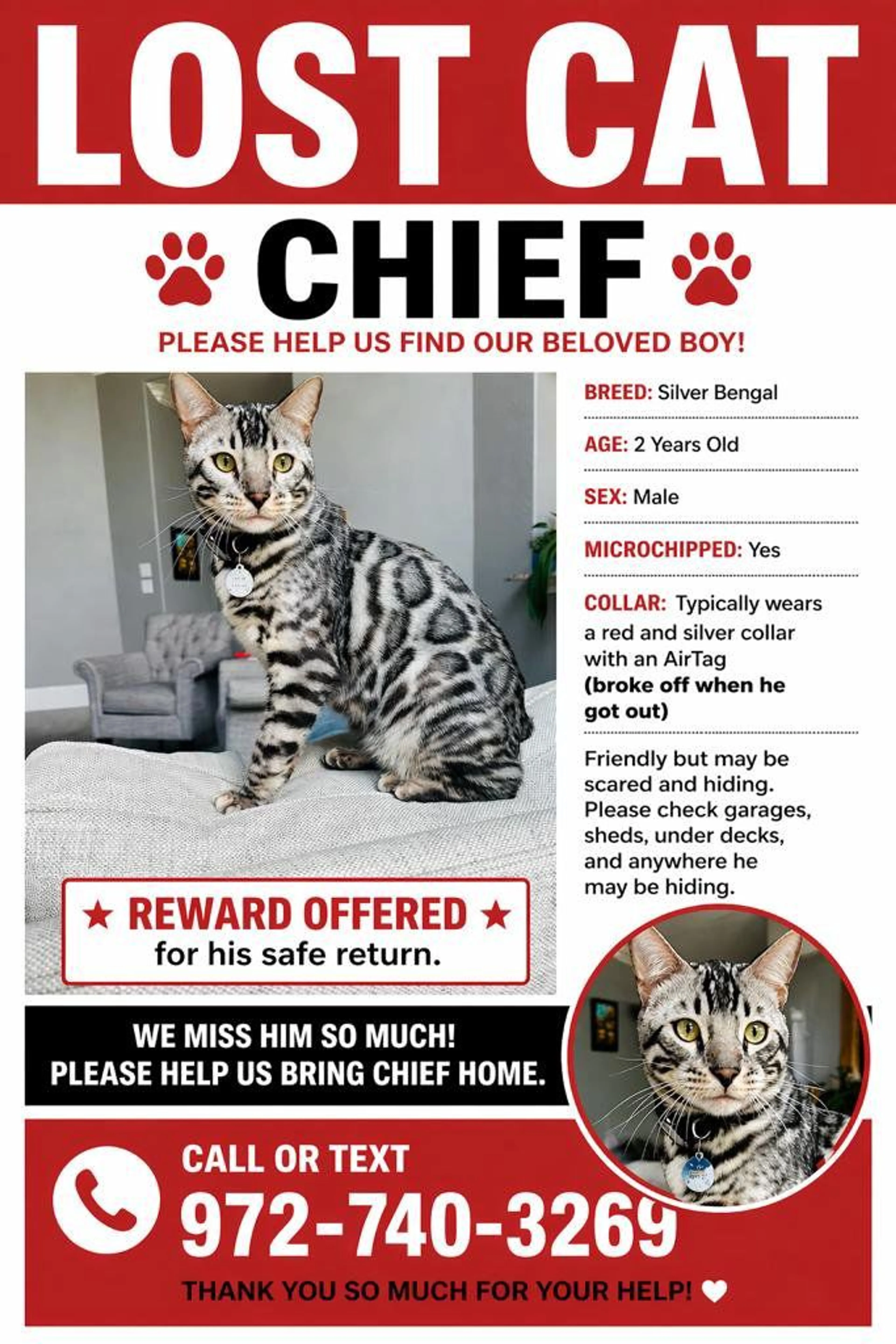 Lost pet