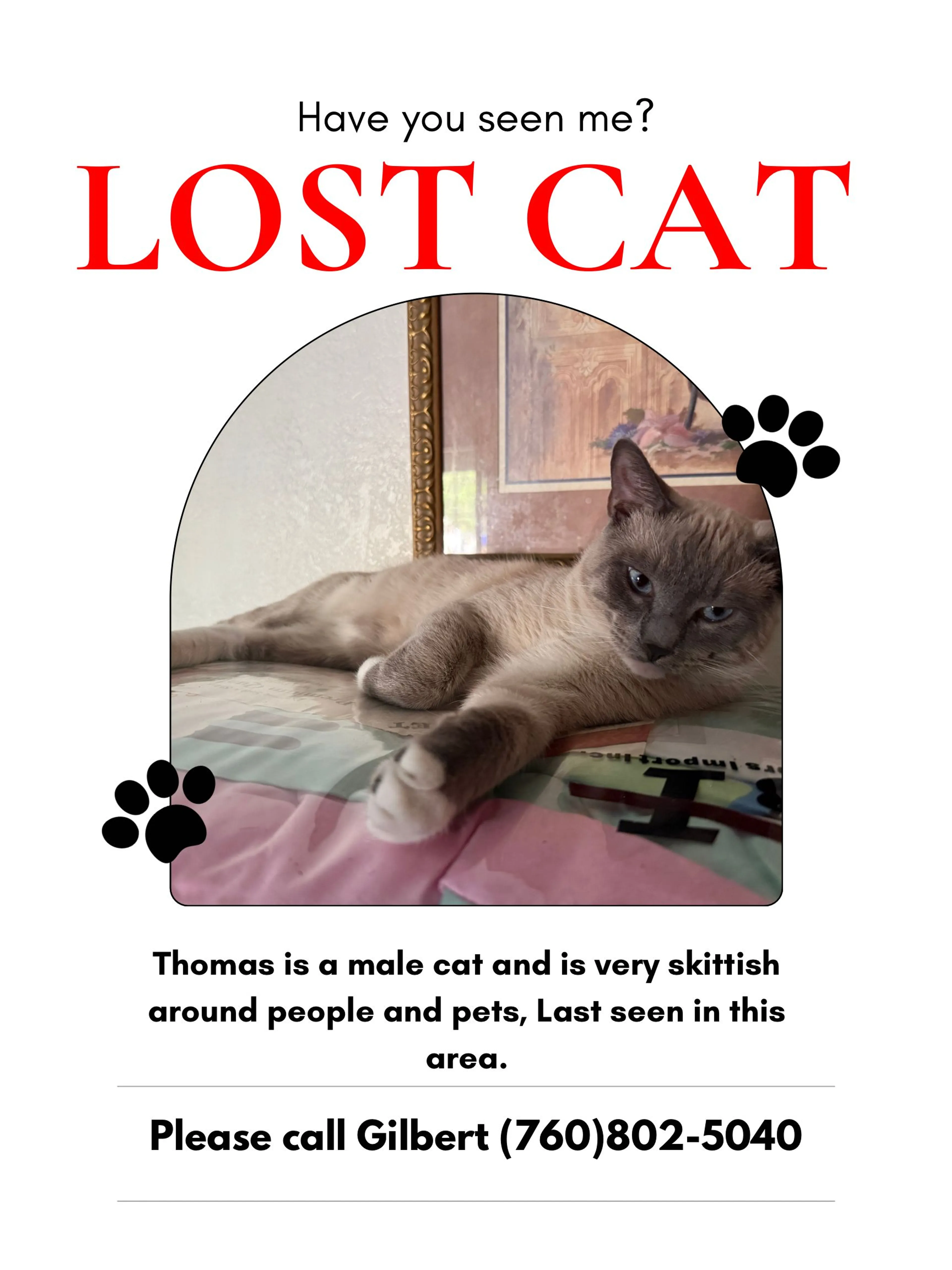 Lost pet