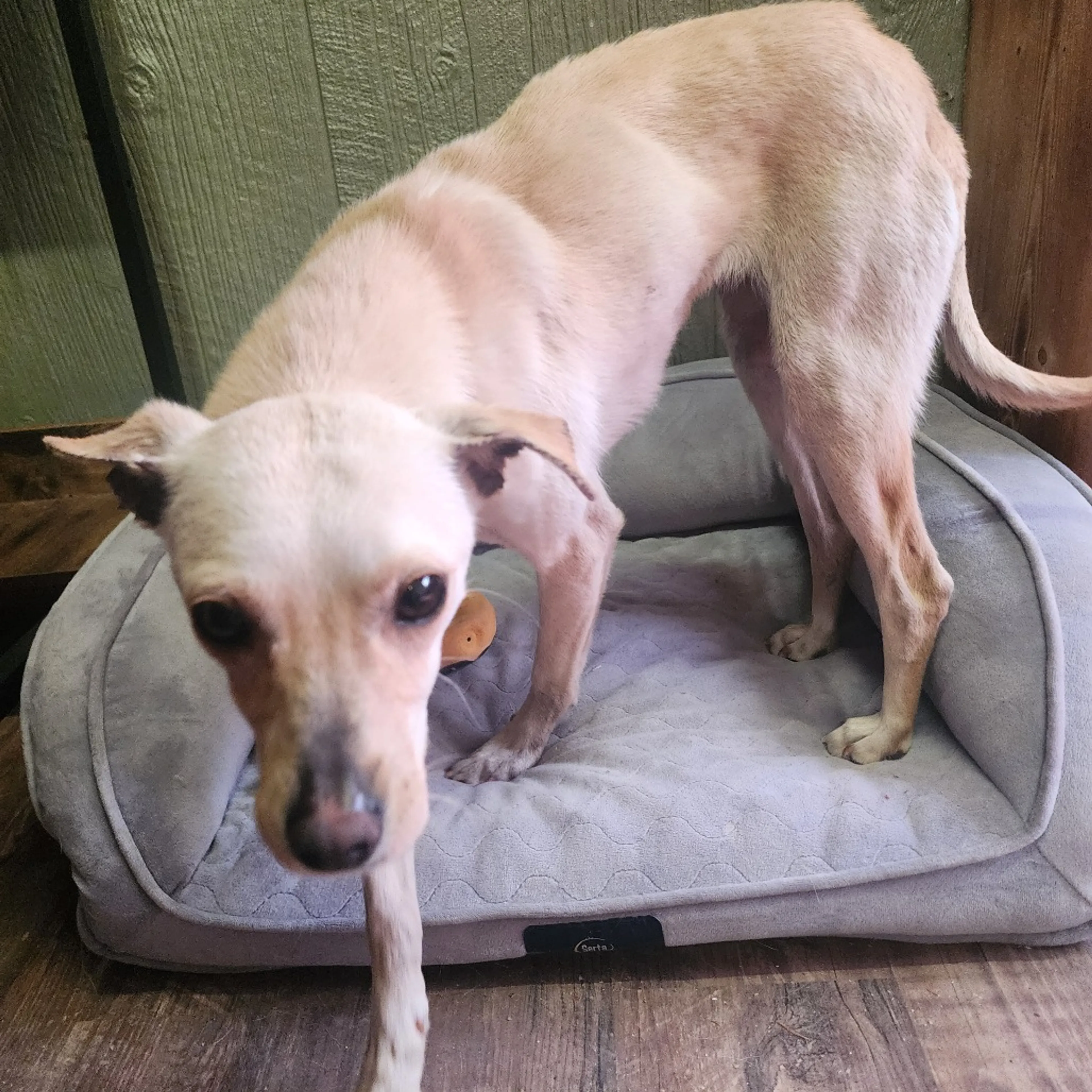 -3