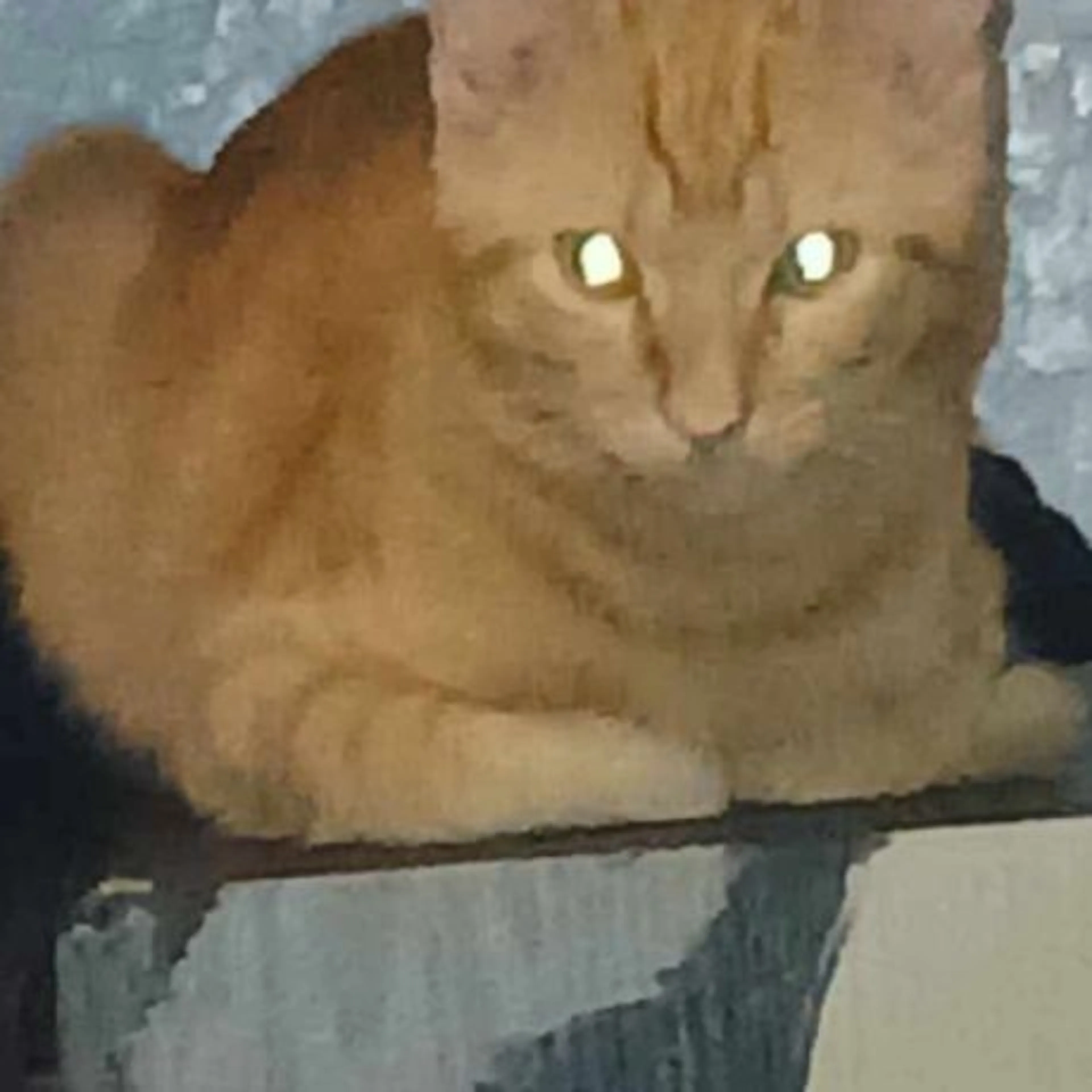 Lost pet