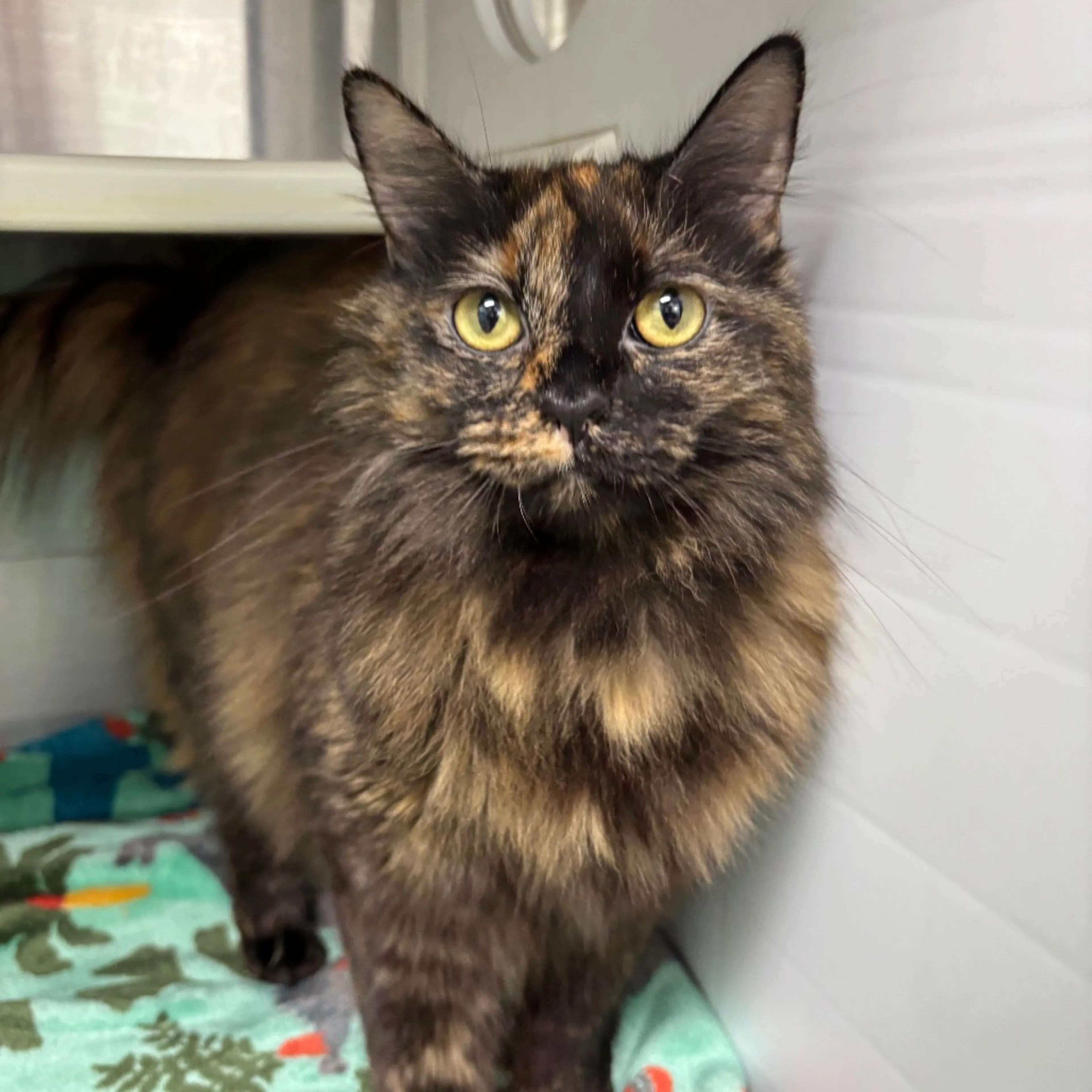 -2