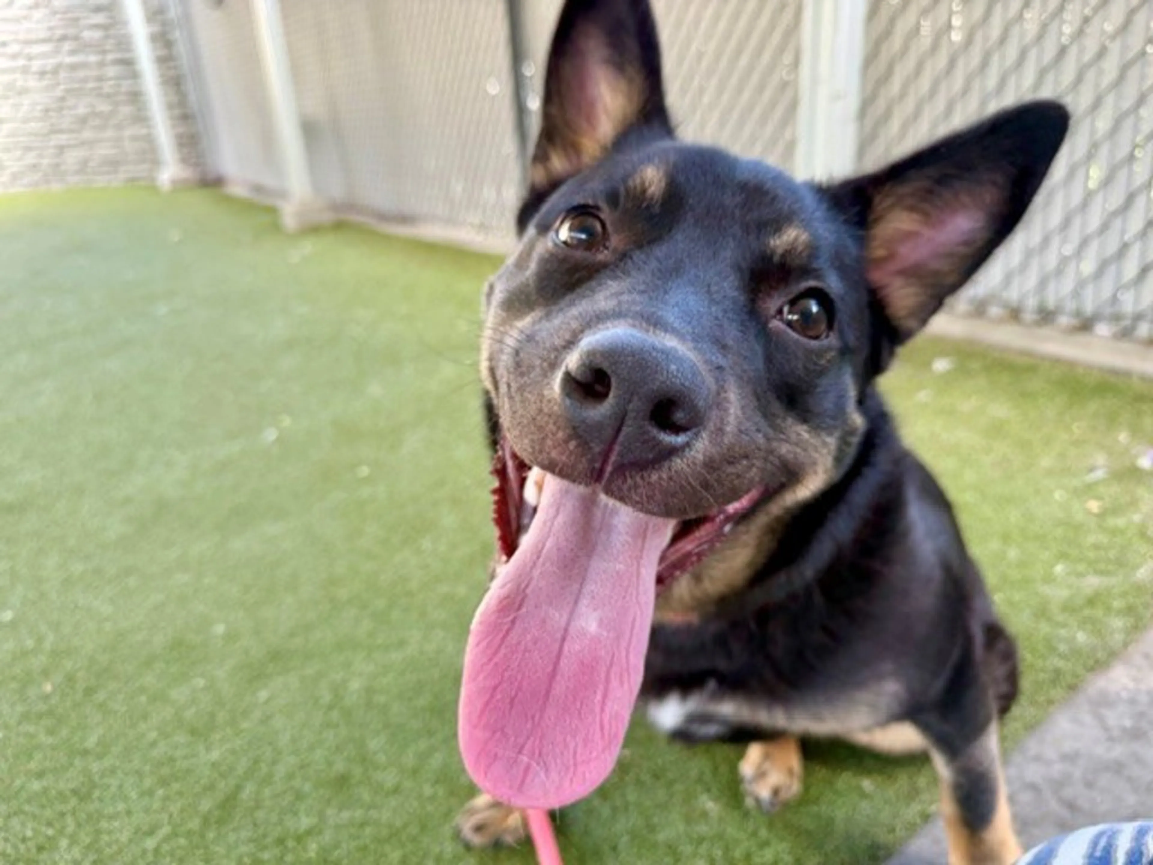 -3
