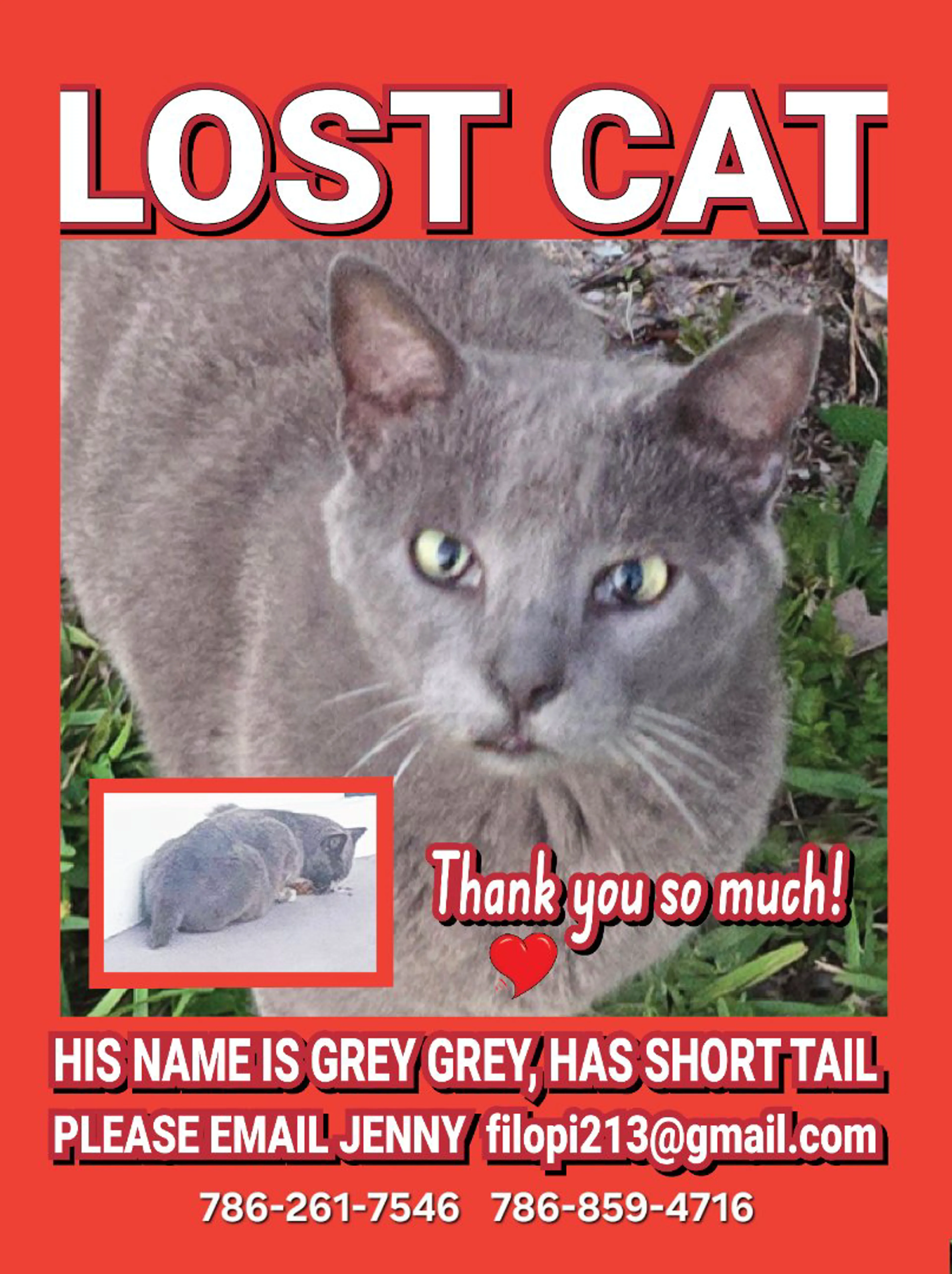 Lost pet