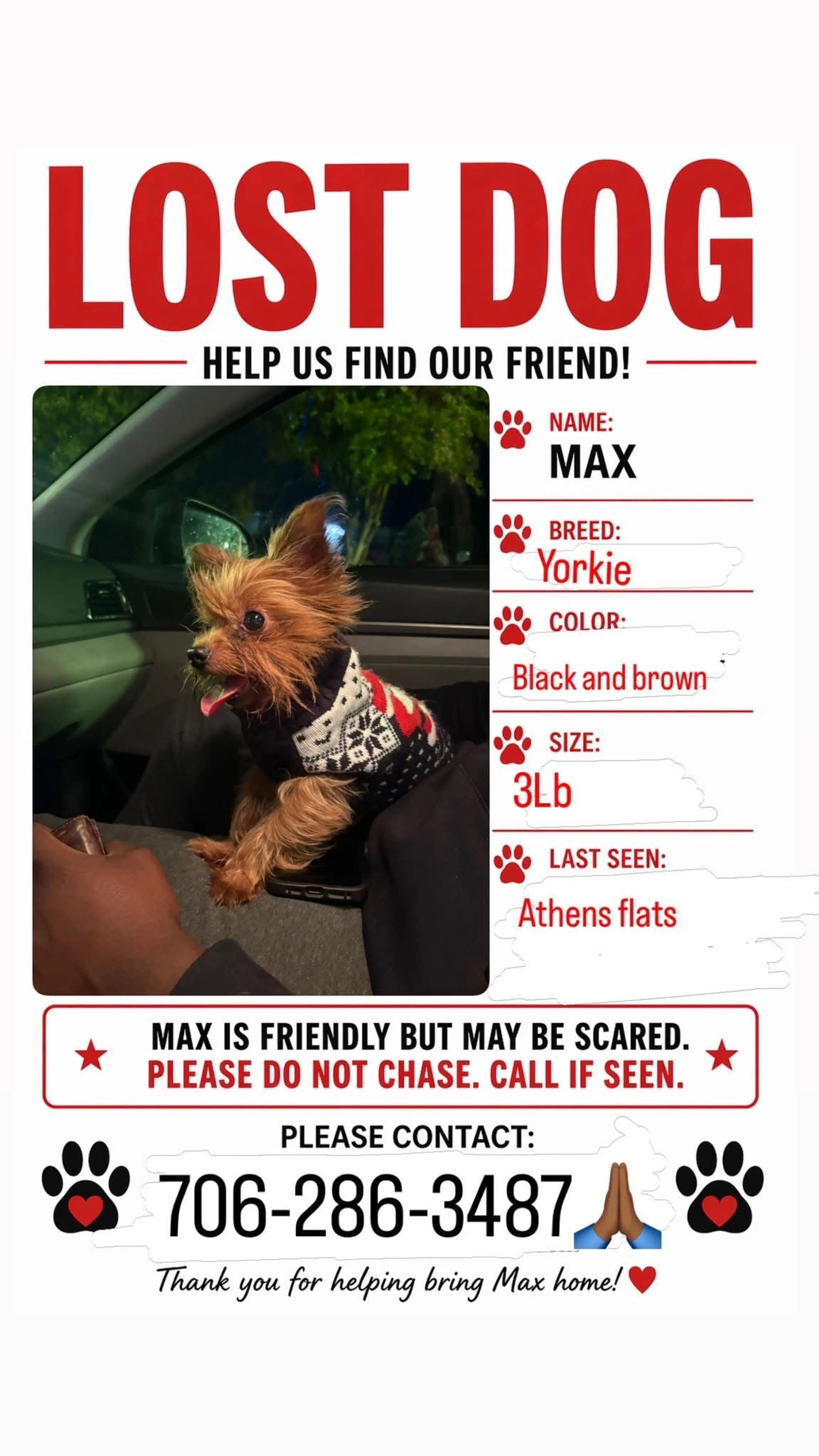 Lost pet