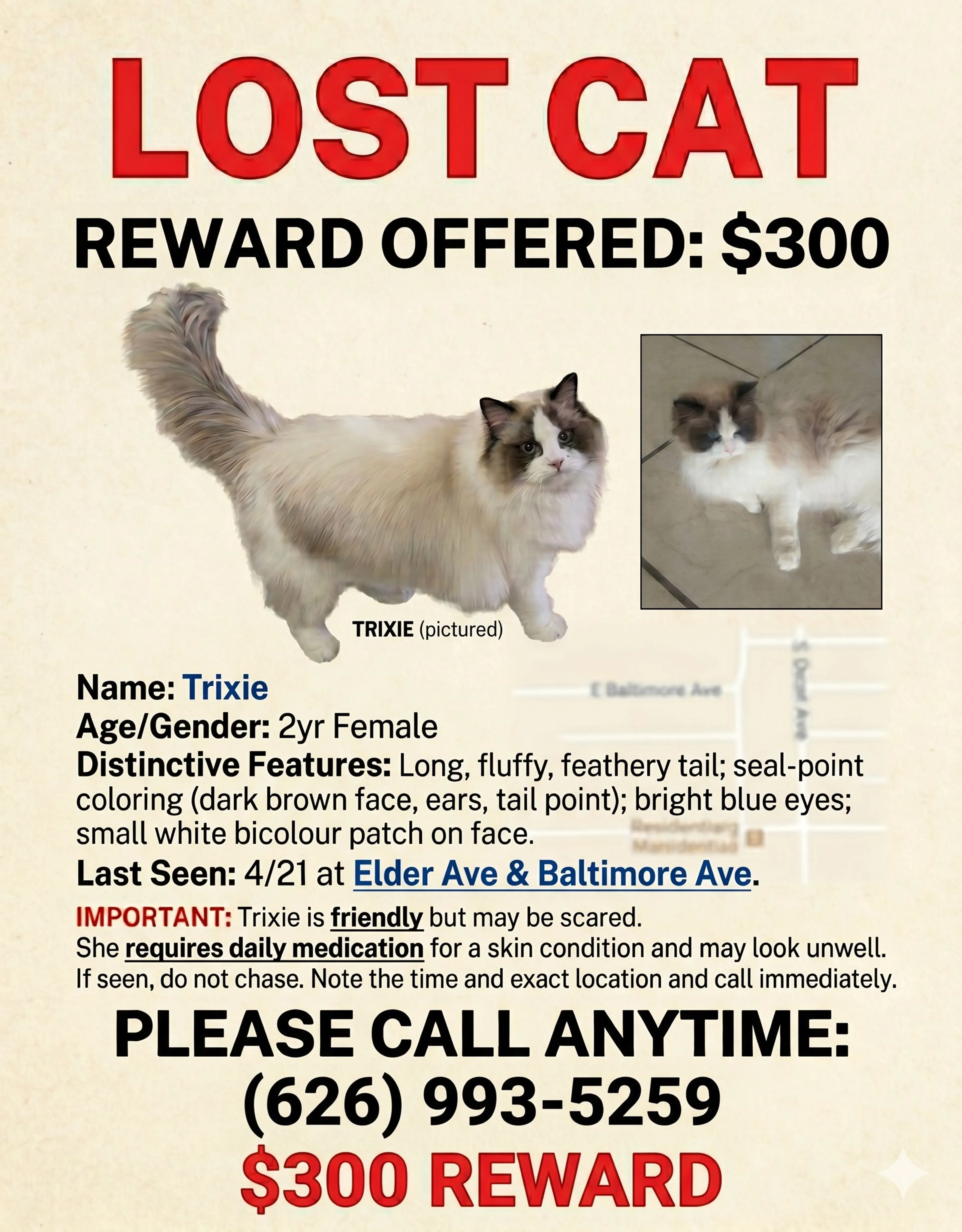 Lost pet-1