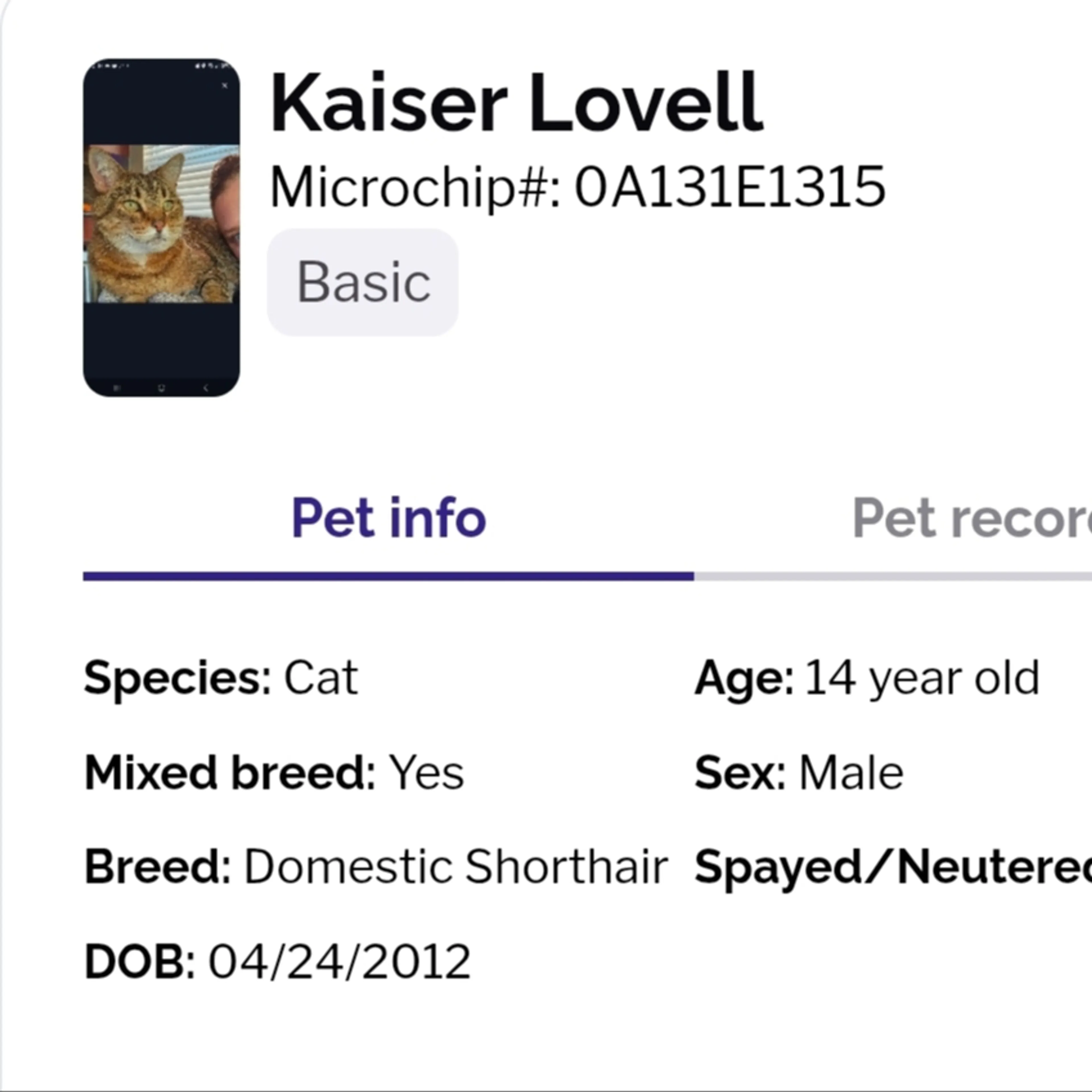 Lost pet-3