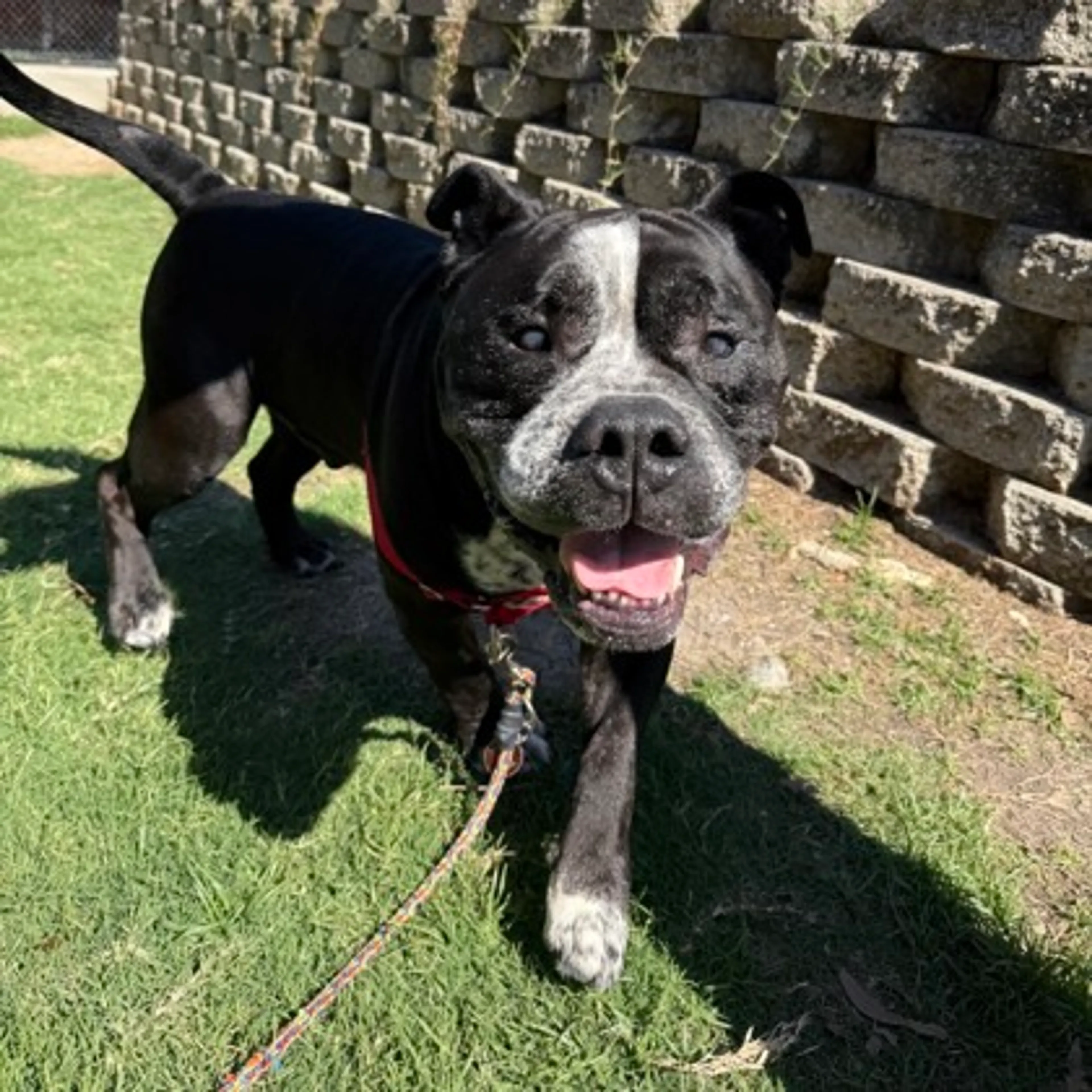-2