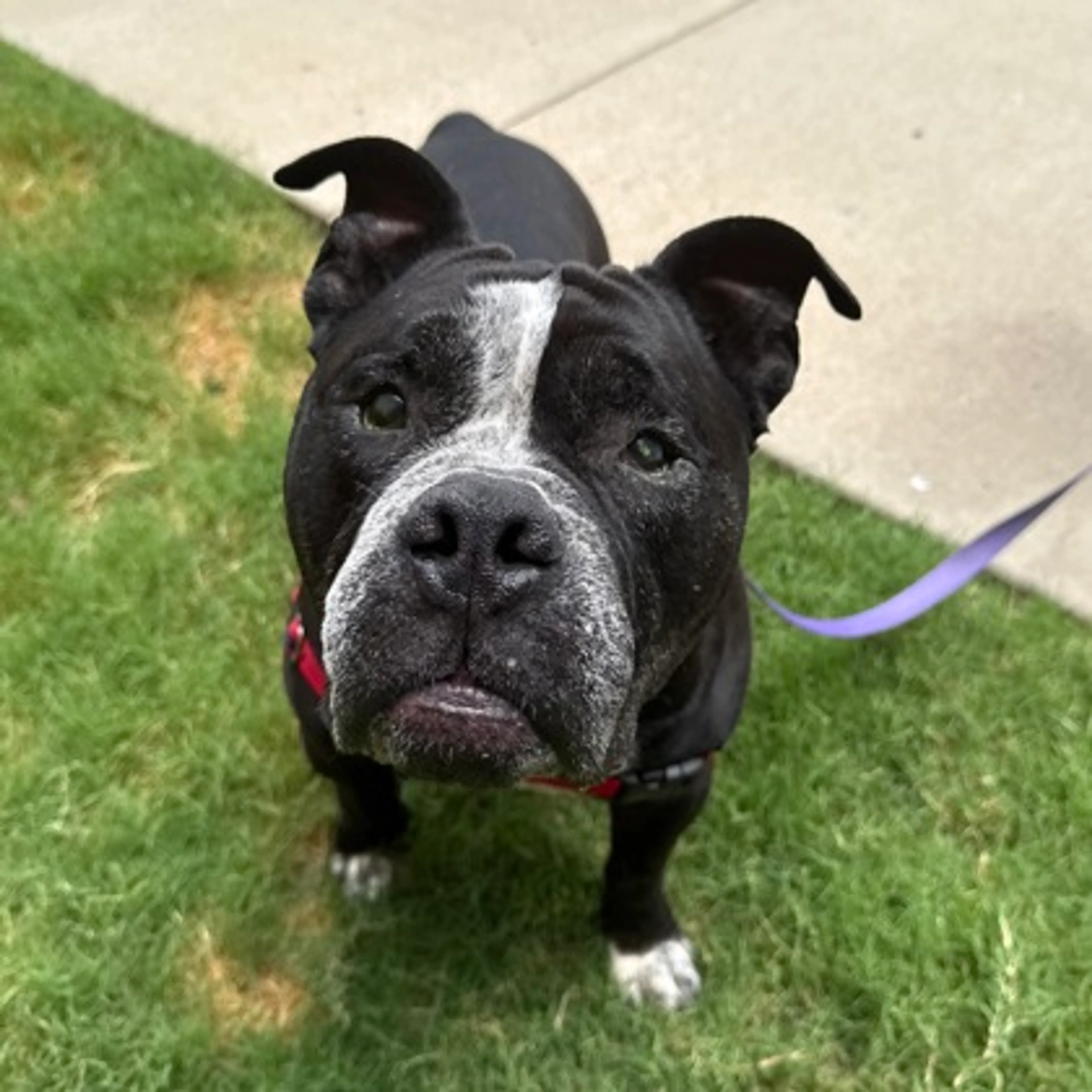 -2